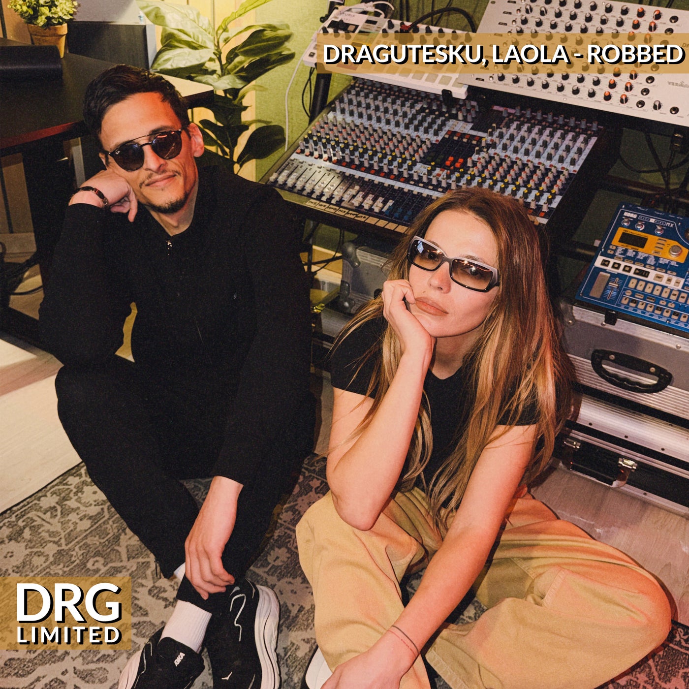Cover - Dragutesku, Laola - Robbed (Original Mix) Promo tools