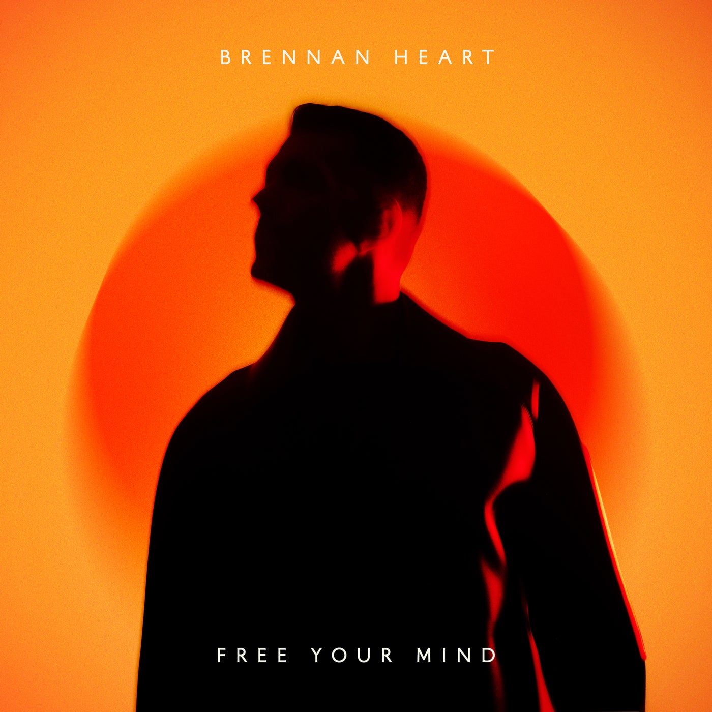 Cover - Brennan Heart - Free Your Mind (Extended Mix) Promo tools