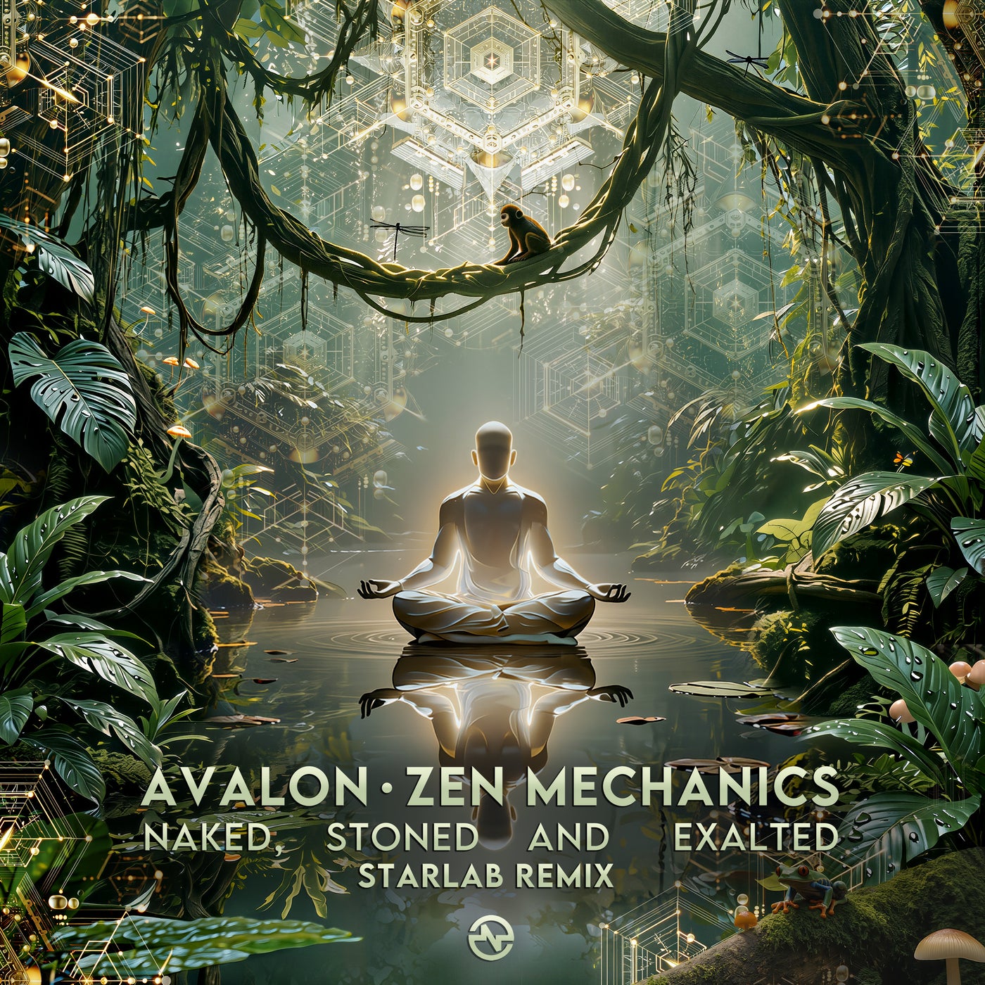 Cover - Zen Mechanics, Avalon - Naked, Stoned and Exalted (Starlab (IN) Remix) (Starlab (IN) Remix) Promo tools
