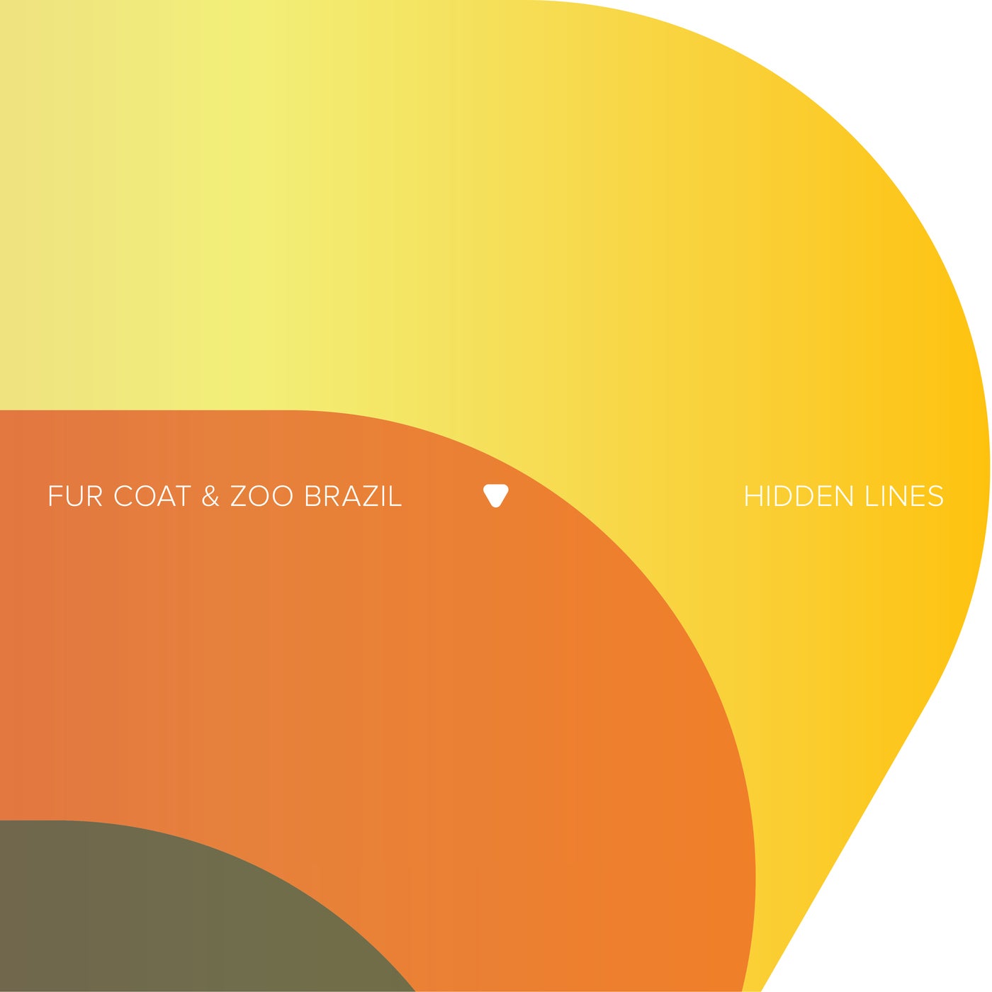 Cover - Zoo Brazil, Fur Coat - Hidden Lines (Extended Mix) Promo tools