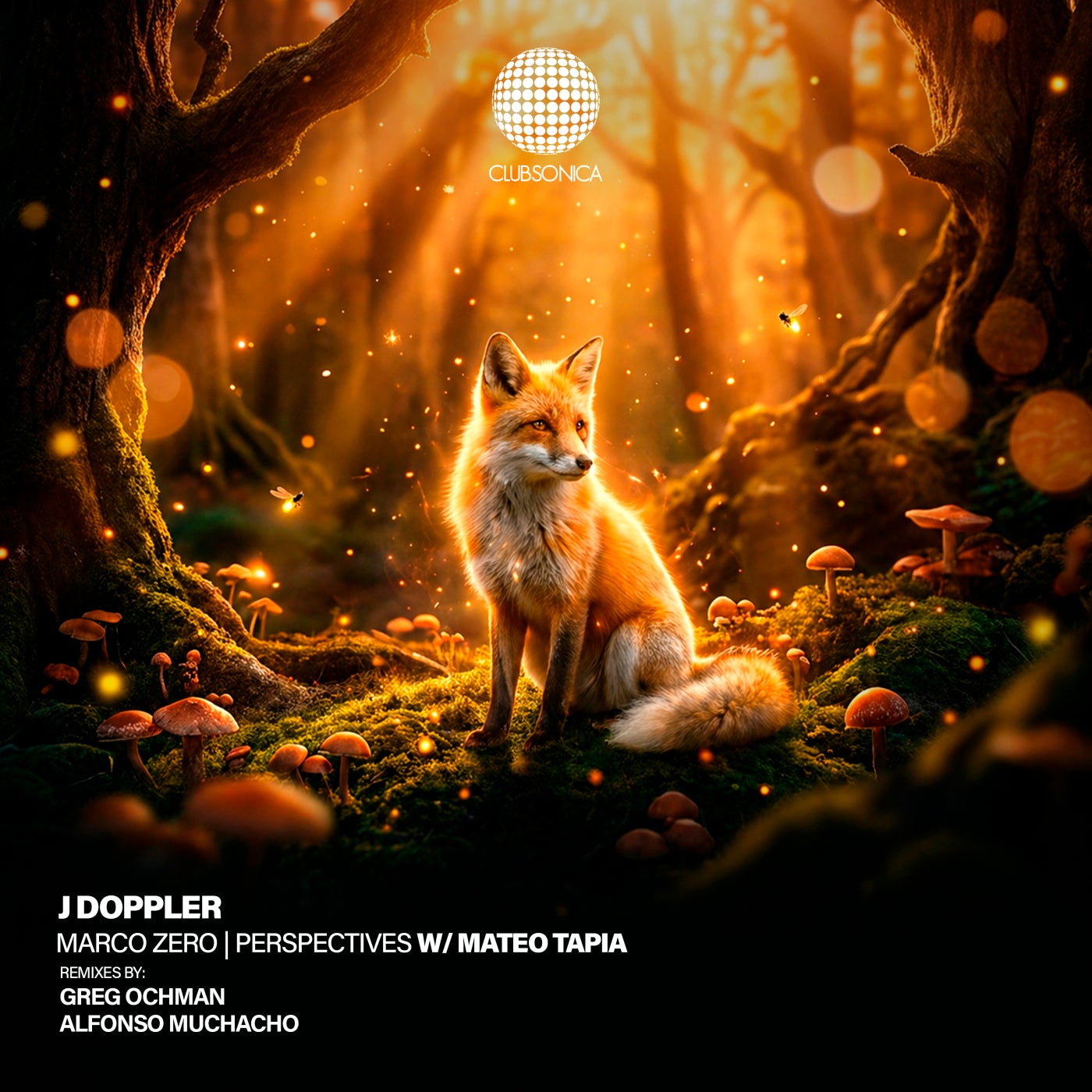 Cover - J Doppler, Mateo Tapia - Perspectives (Alfonso Muchacho Extended Mix) Promo tools