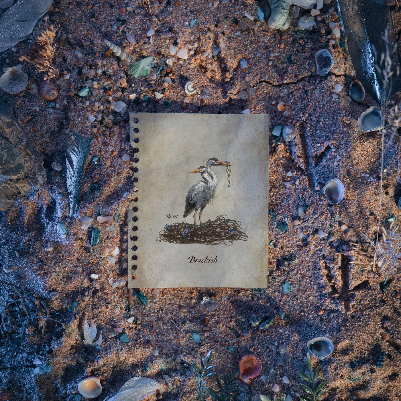 Cover - Tape B, Of The Trees - Brackish (Original Mix) Promo tools