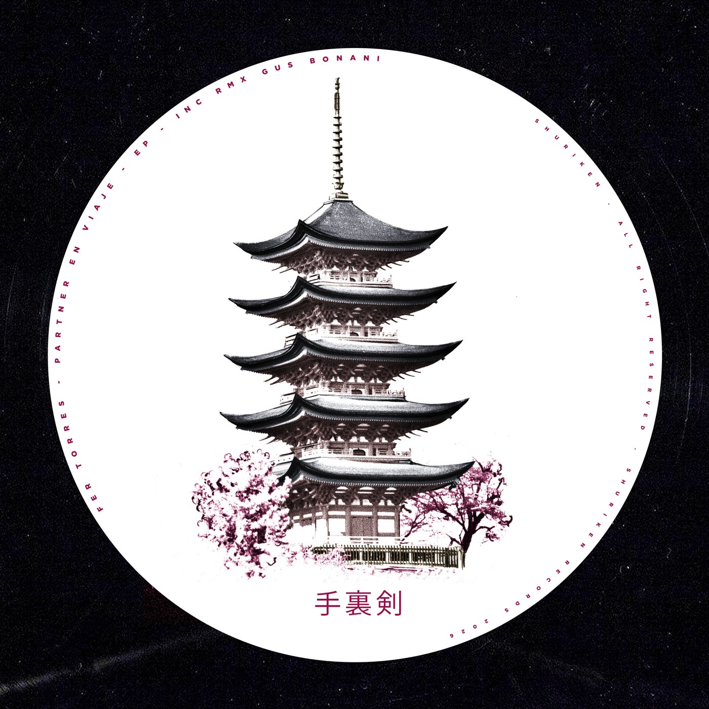 Cover - Fer Torres - Partner en Viaje (Gus Bonani Remix) Promo tools