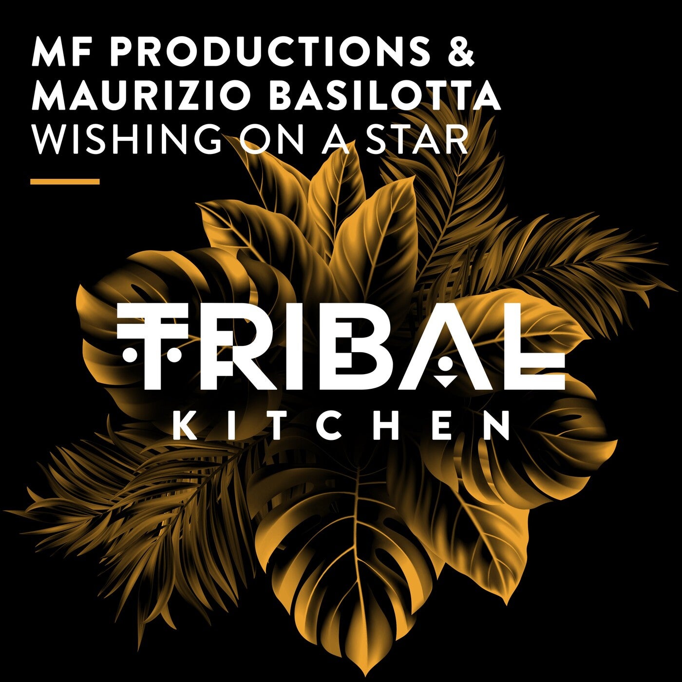 Cover - Maurizio Basilotta, MF Productions - Wishing on a Star (Extended Mix) Promo tools