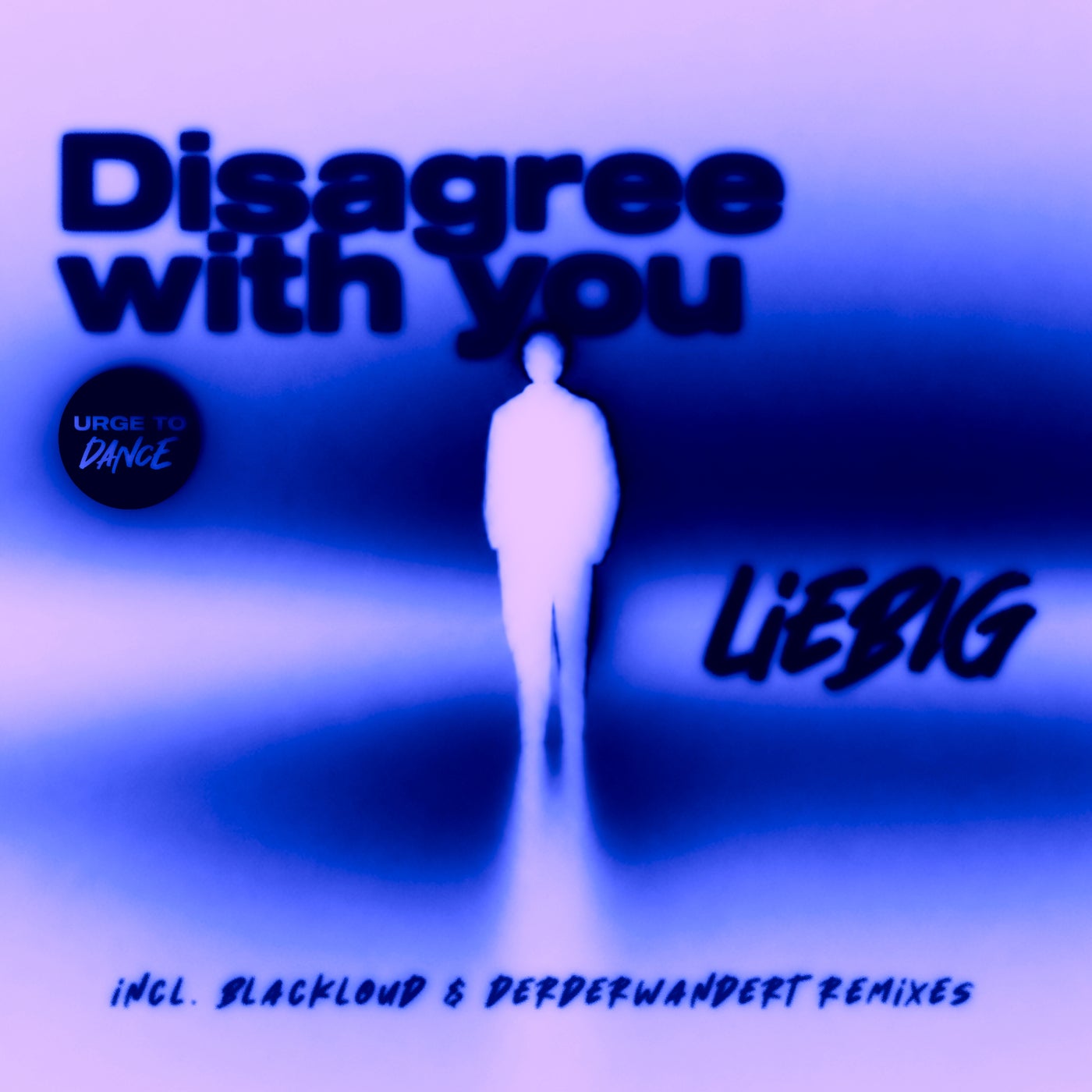 Cover - Liebig - More (derderwandert Remix) Promo tools