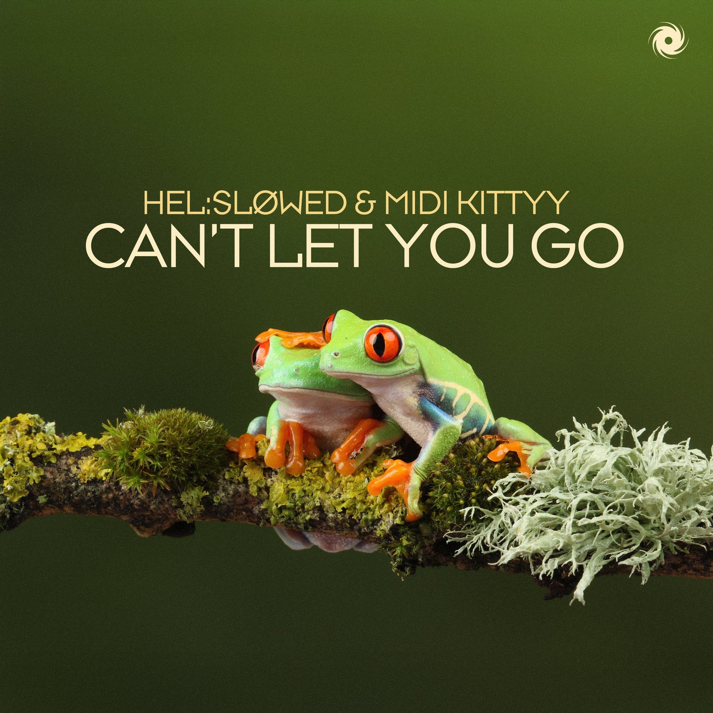 Cover - Hel:sløwed, MIDI Kittyy - Can't Let You Go (Extended Mix) Promo tools