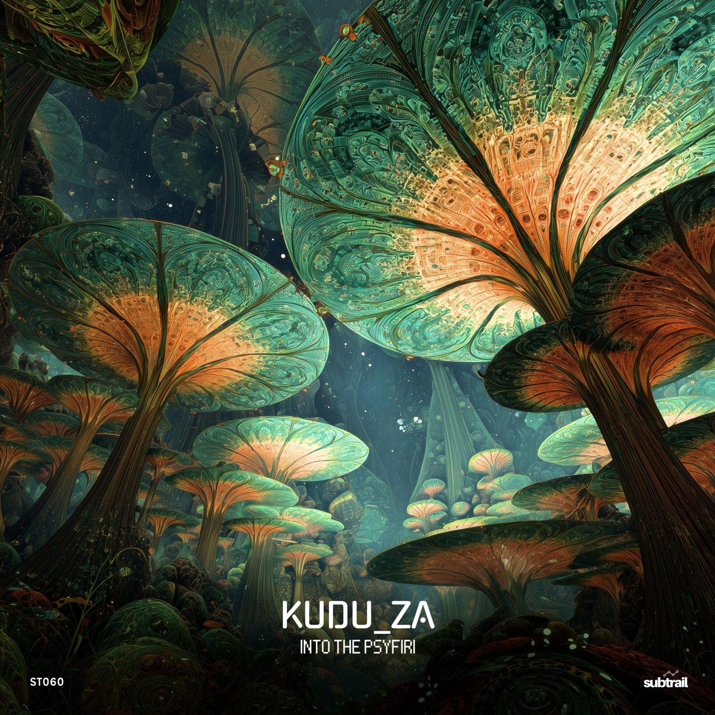 Cover - KUDU_ZA - Into the Psyfiri (Original Mix) Promo tools
