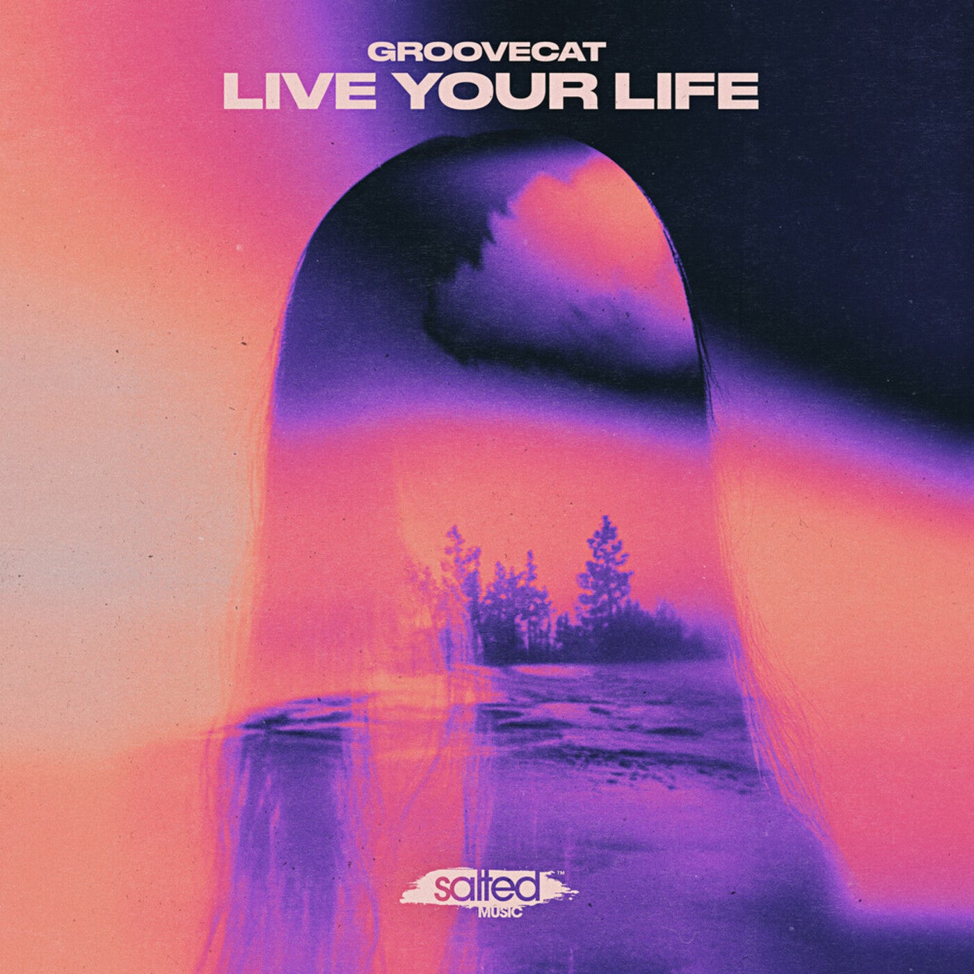 Cover - Groovecat - Live Your Life (Original Mix) Promo tools