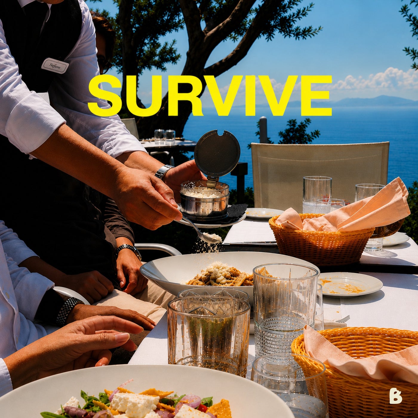 Cover - Firstclass, LEWS - Survive (Extended Mix) Promo tools