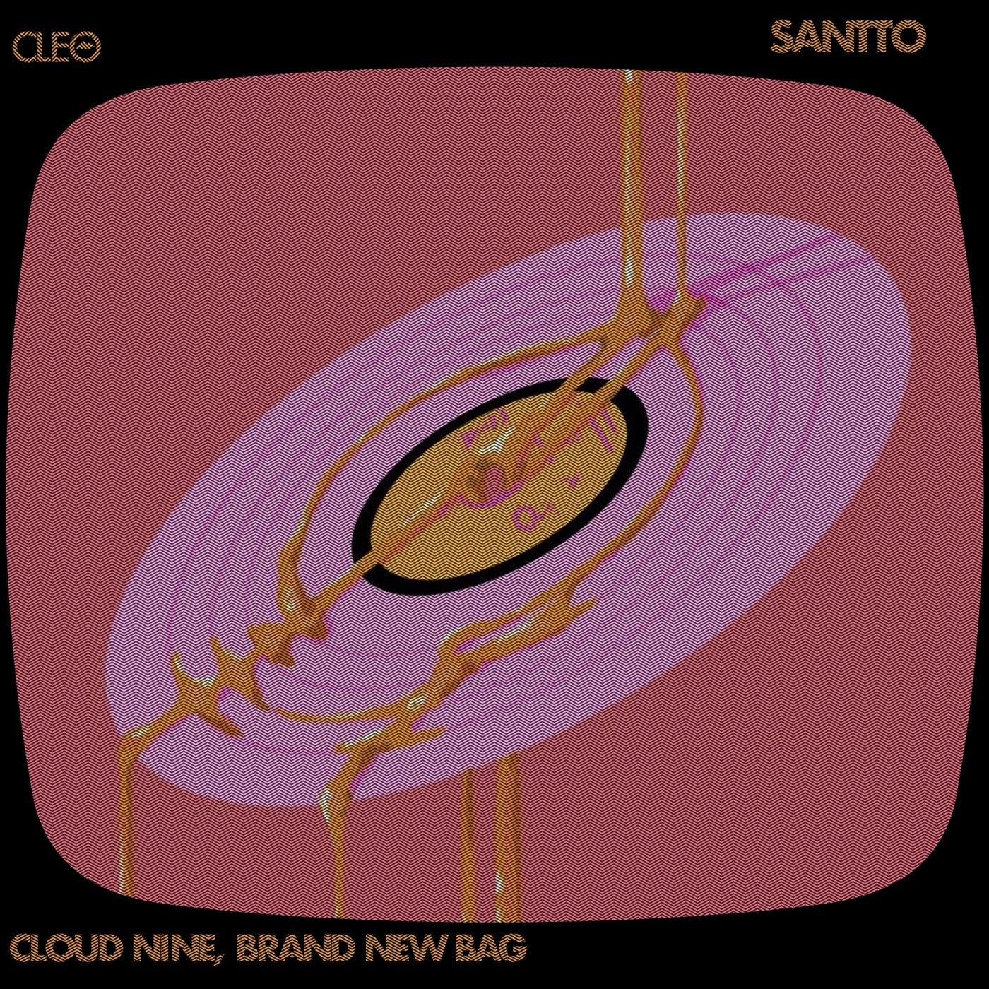 Cover - Santtö - Brand New Bag (Original Mix) Promo tools