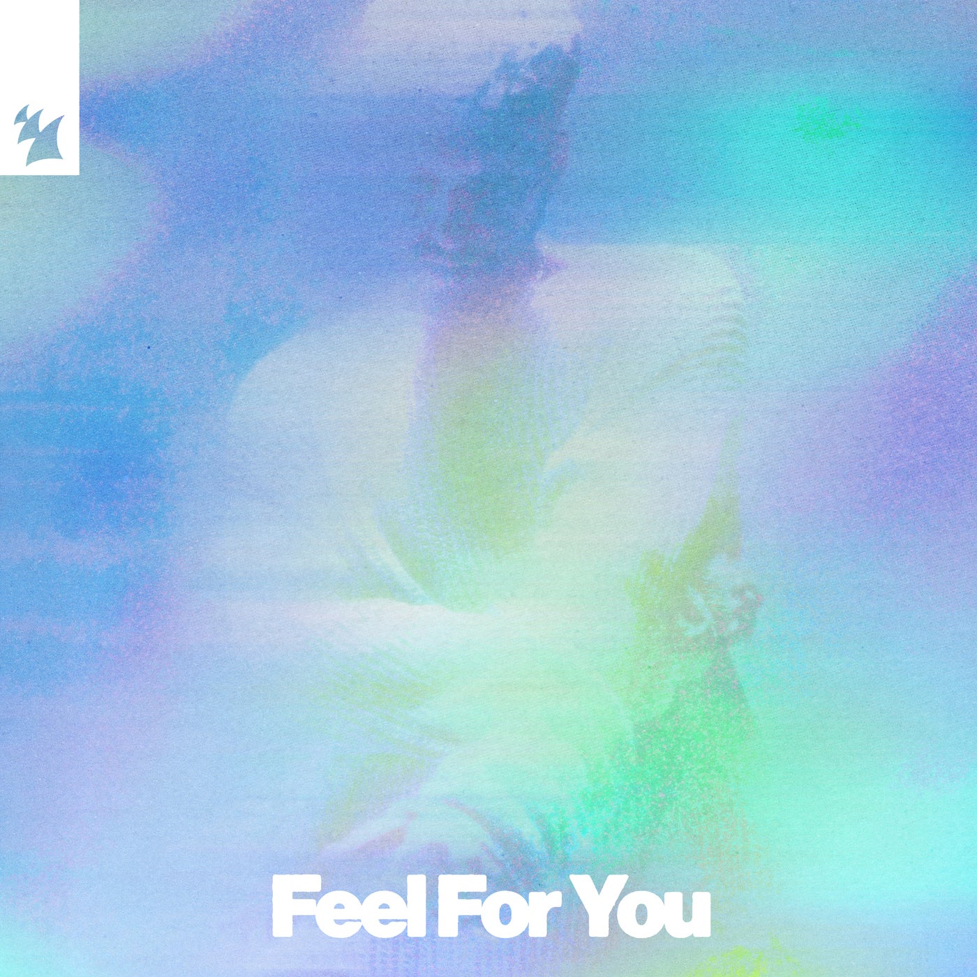 Cover - D.O.D, NiiNA - Feel For You (Extended Mix) Promo tools