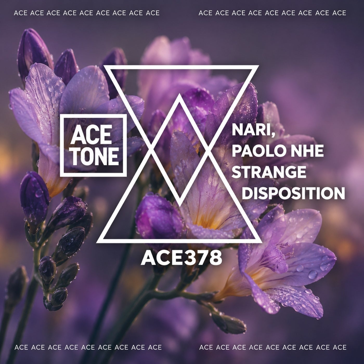 Cover - Nari, Paolo nhe - Strange Disposition (Original Mix) Promo tools