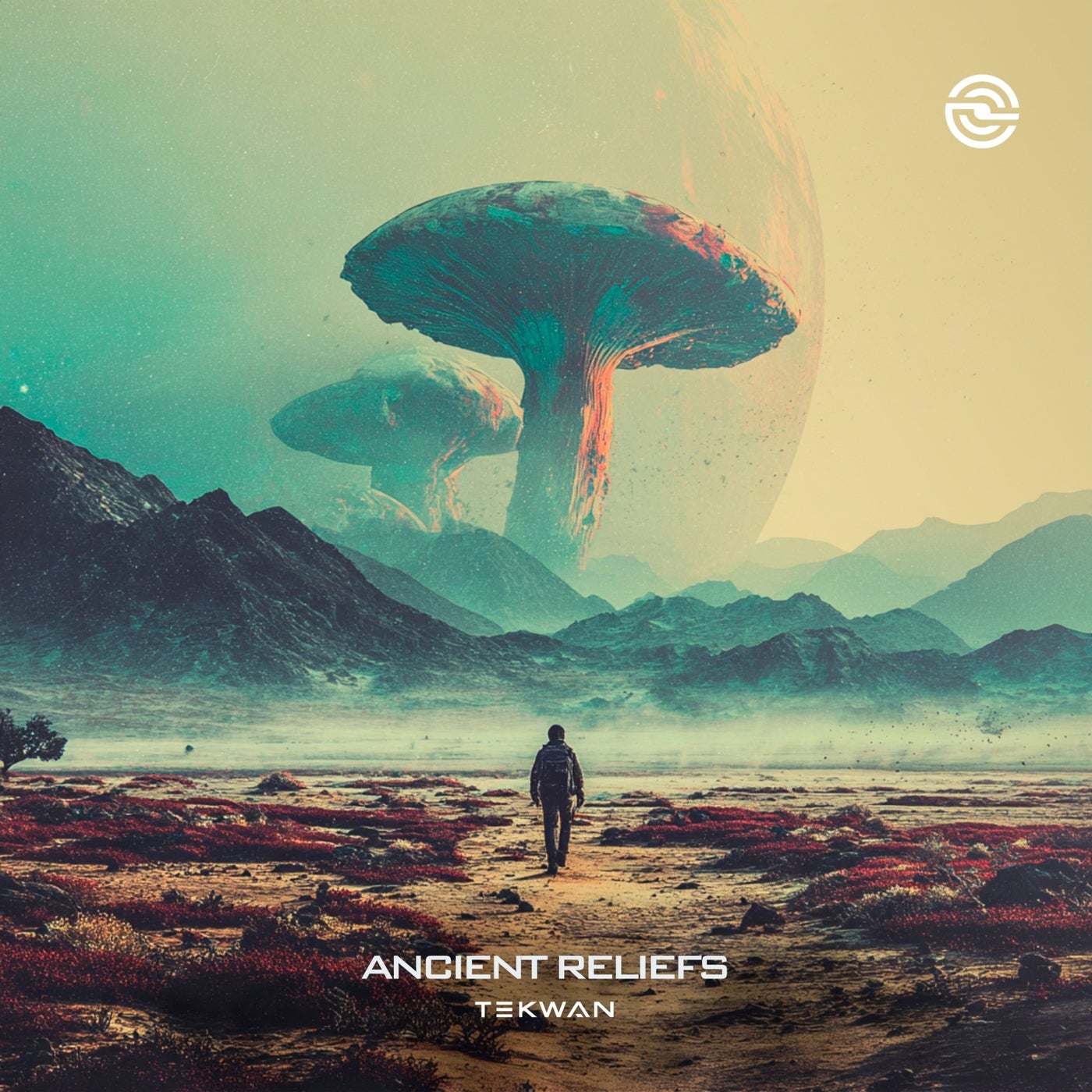 Cover - TekWan - Ancient Reliefs (Original Mix) Promo tools