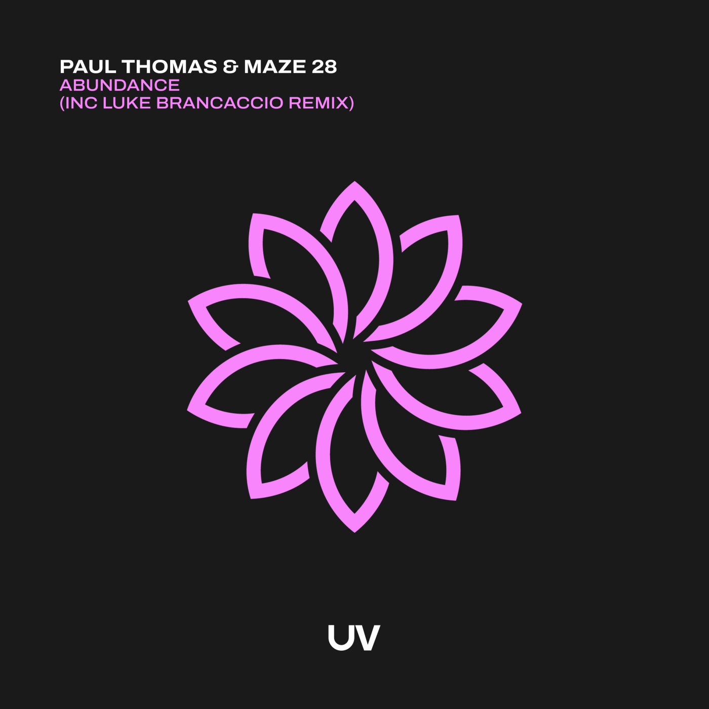 Cover - Paul Thomas, Maze 28 - Abundance (Extended Mix) Promo tools
