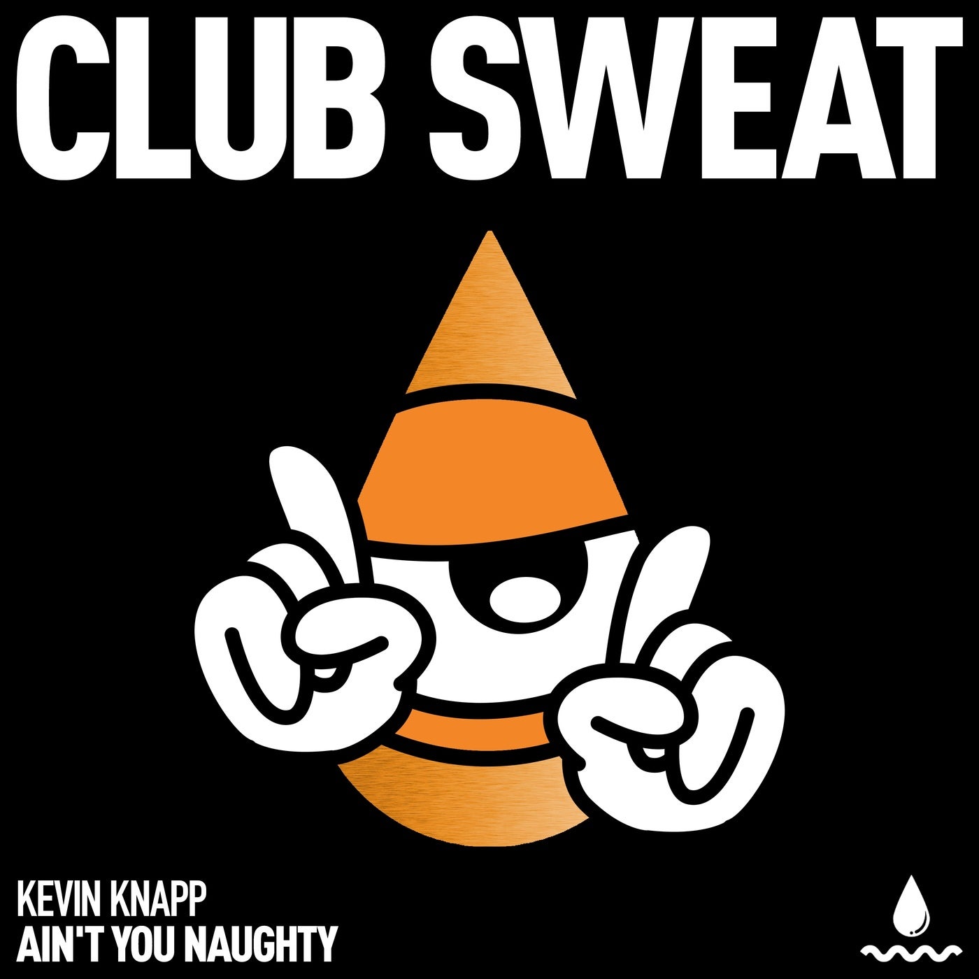 Cover - Kevin Knapp - Ain't You Naughty (Extended Mix) Promo tools