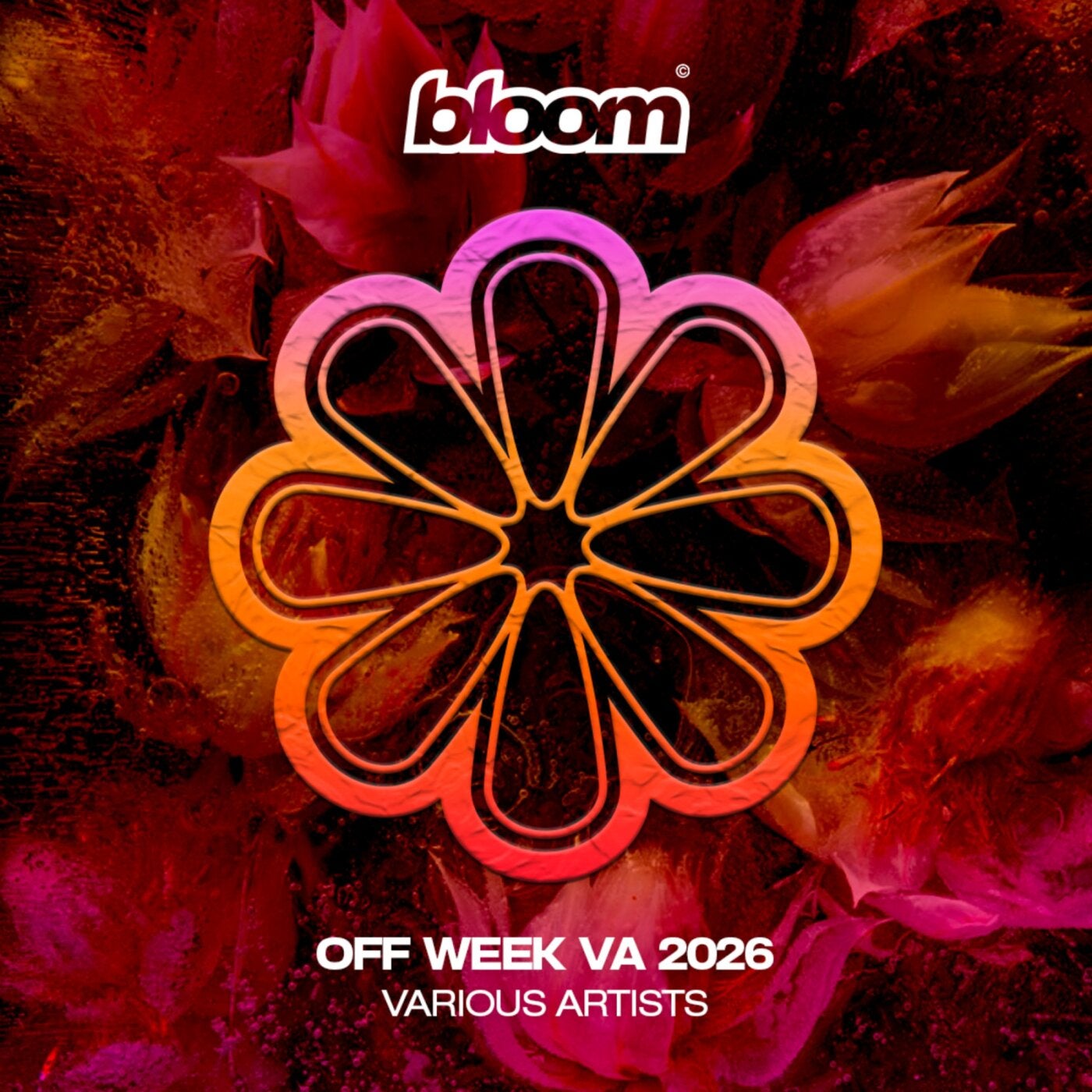 Cover - GROOVE.fm - Bass Keeps Rolling (Original Mix) Promo tools