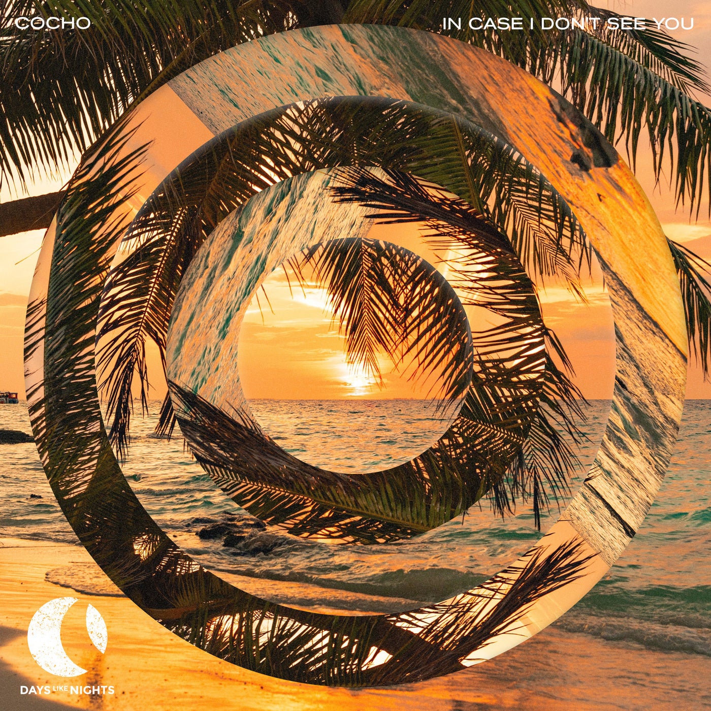 Cover - Cocho - In Case I Don't See You (Extended Mix) Promo tools