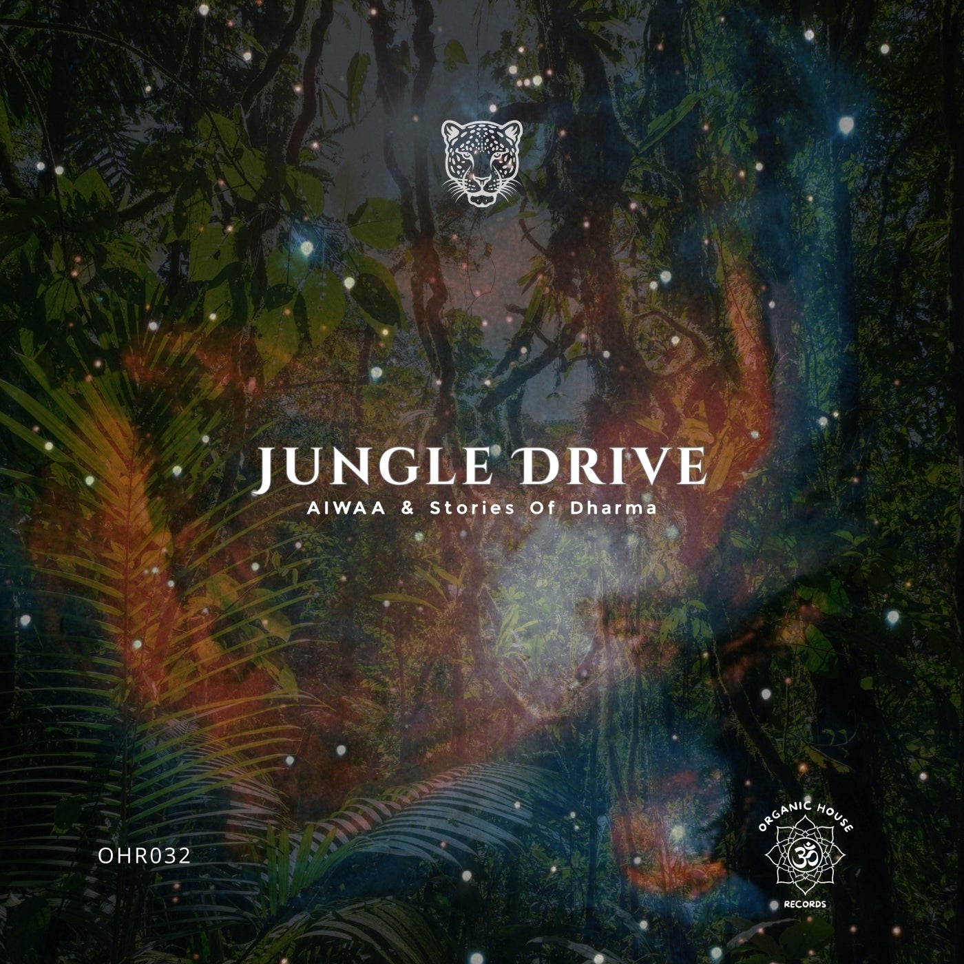 Cover - AIWAA, Stories of Dharma - Jungle Drive (Original Mix) Promo tools