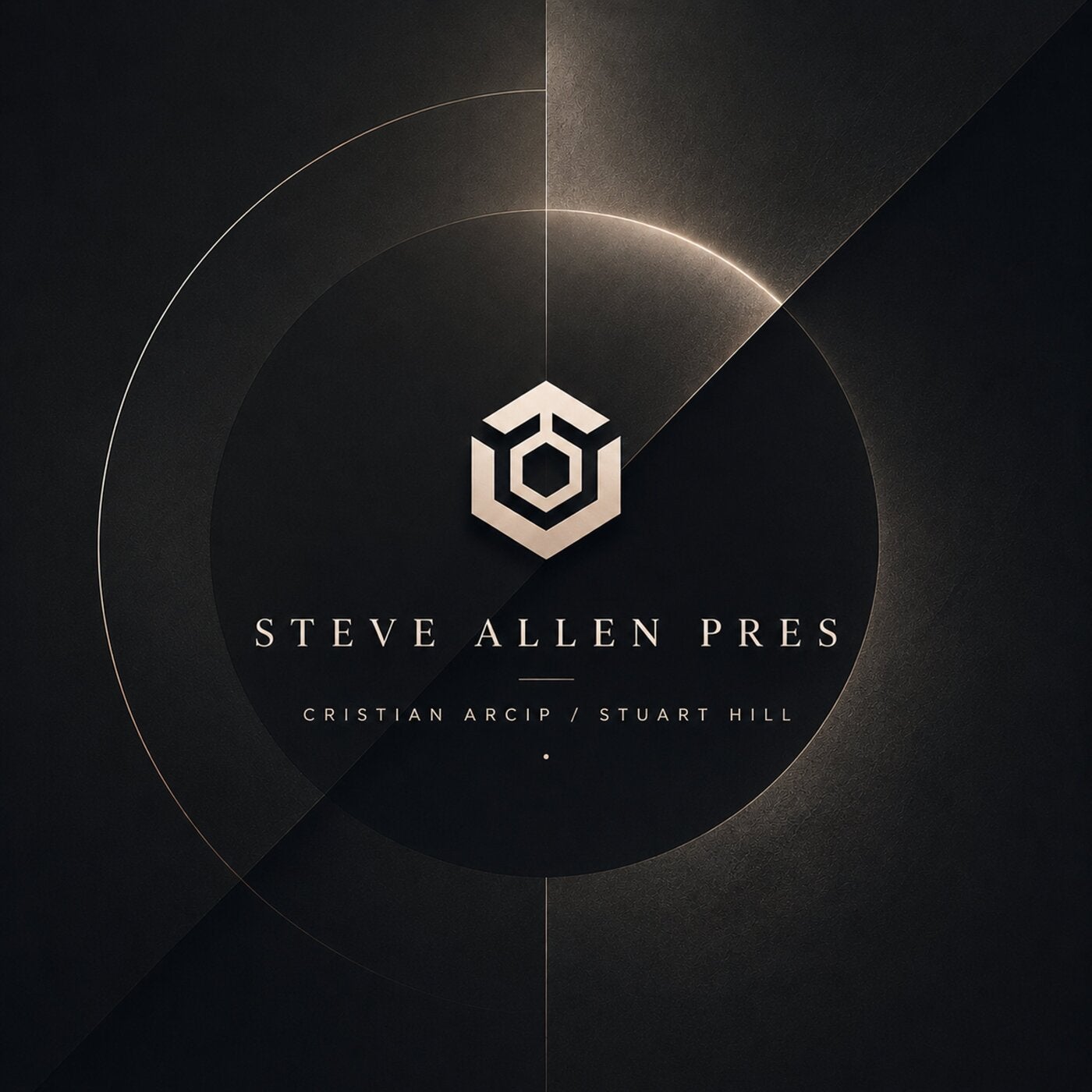 Cover - Steve Allen, Cristian Arcip - Torn (Extended Mix) Promo tools