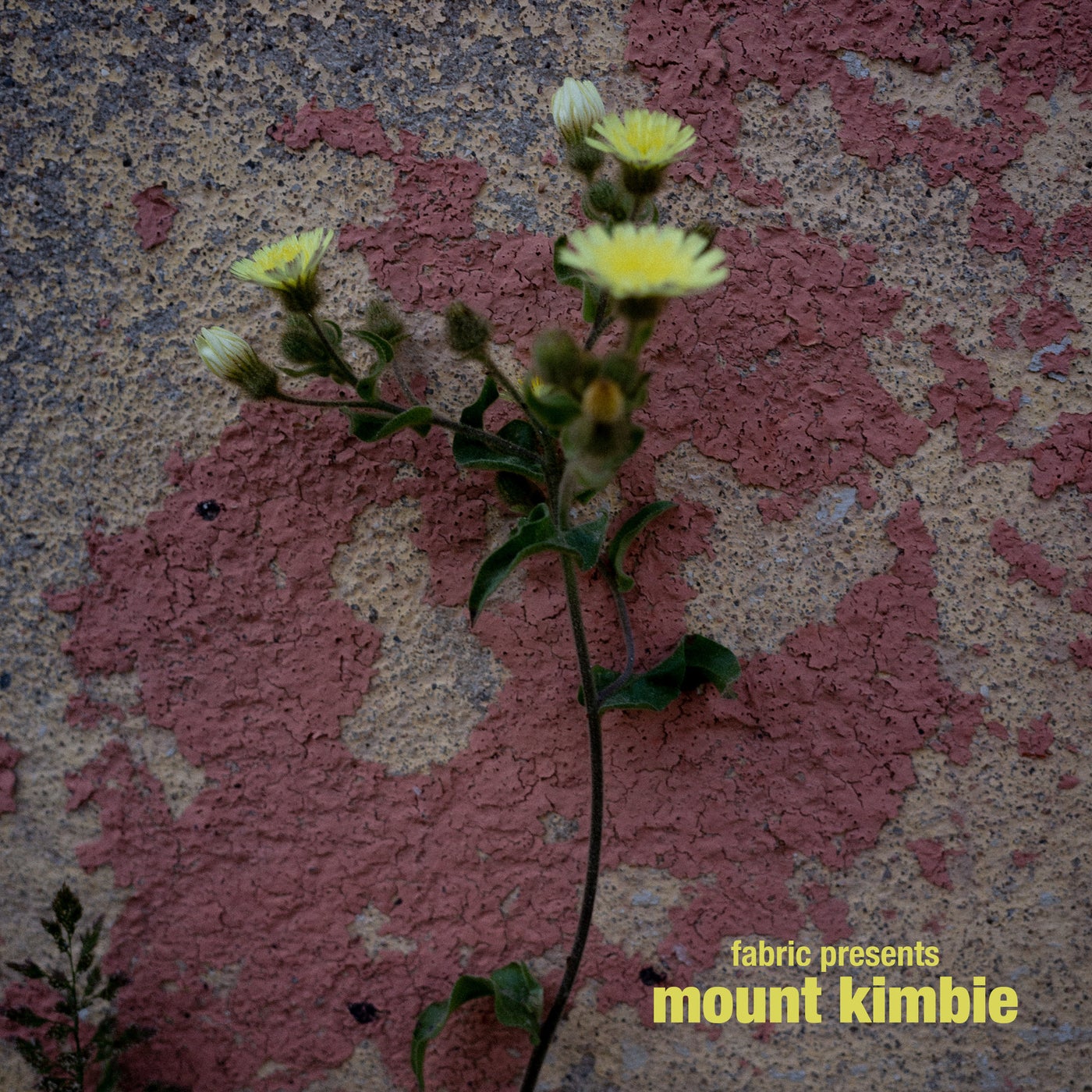 Cover - Mount Kimbie - Monroe (Original Mix) Promo tools