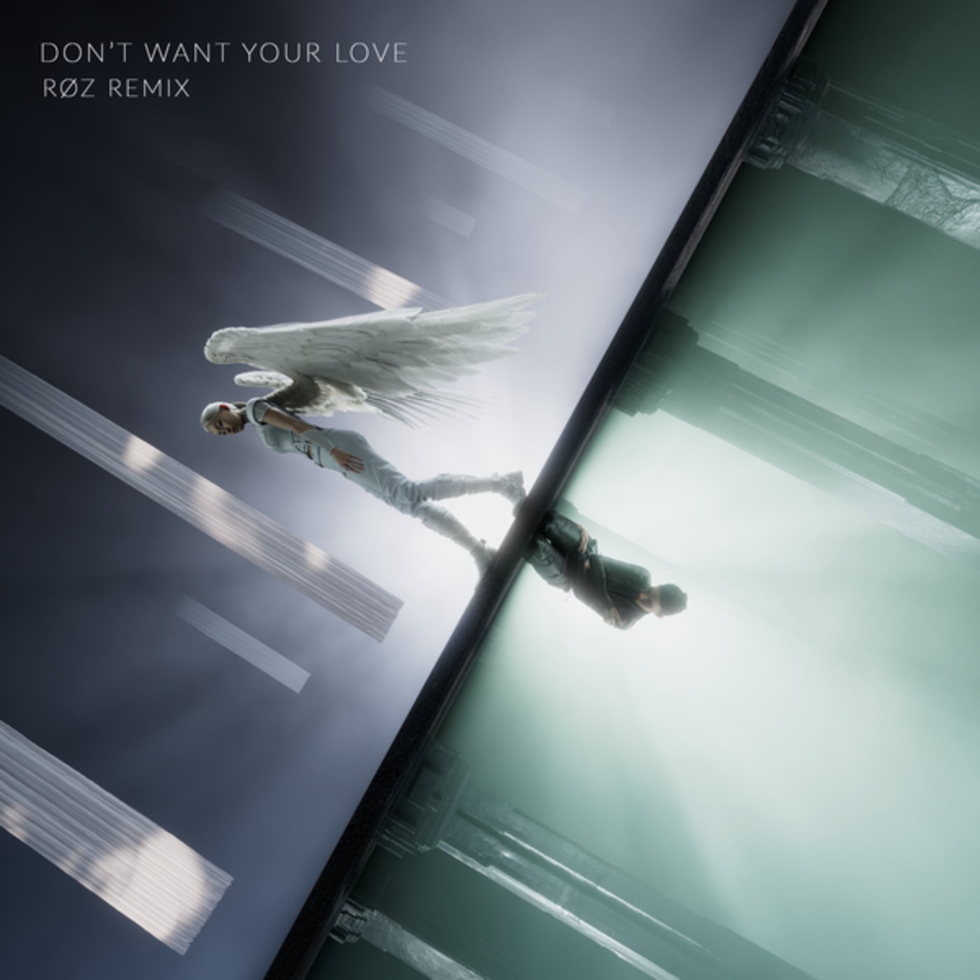 Cover - Ellie Goulding, Roz, ILLENIUM - Don't Want Your Love (RØZ Extended Remix) Promo tools