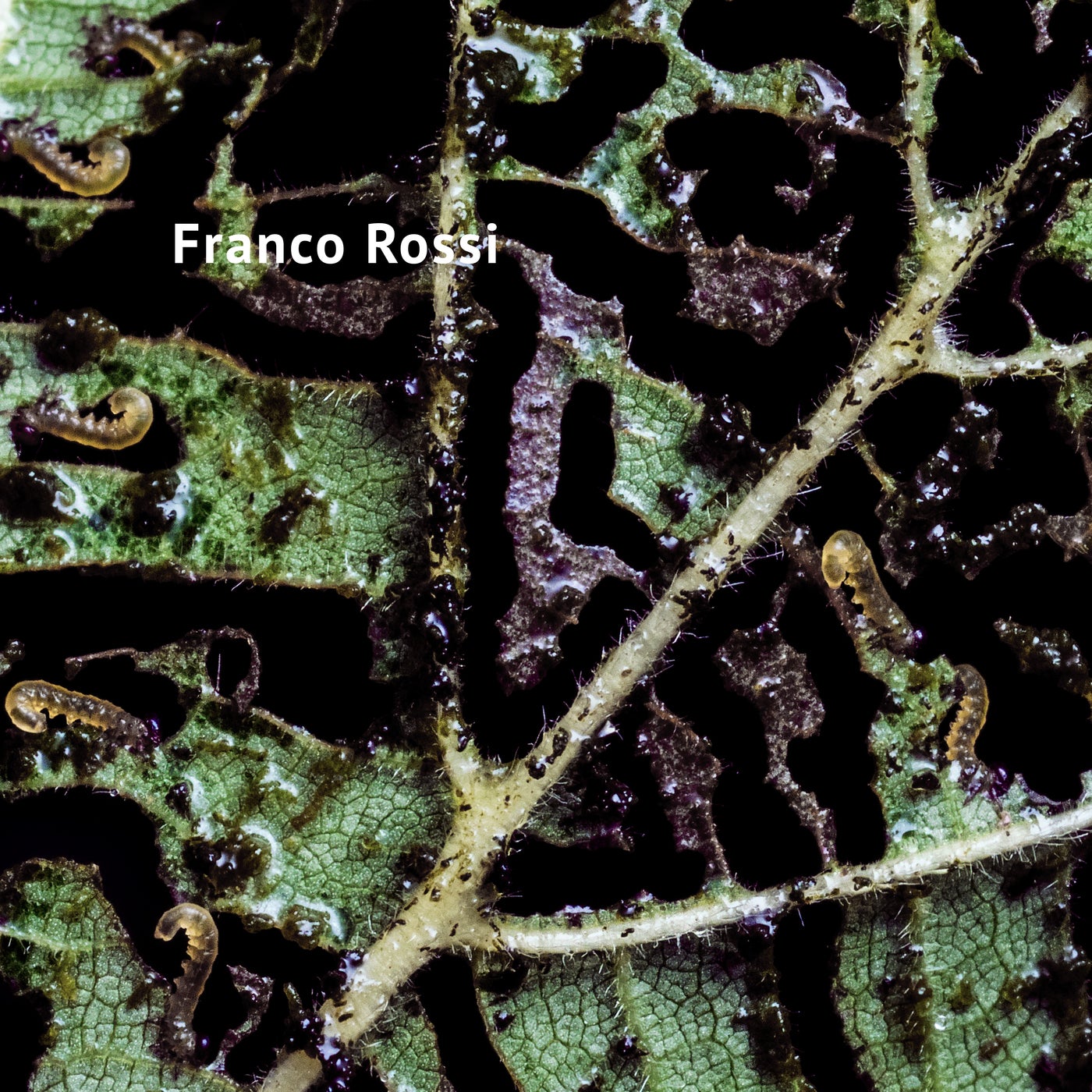 Cover - Franco Rossi - Rodinia (Original Mix) Promo tools