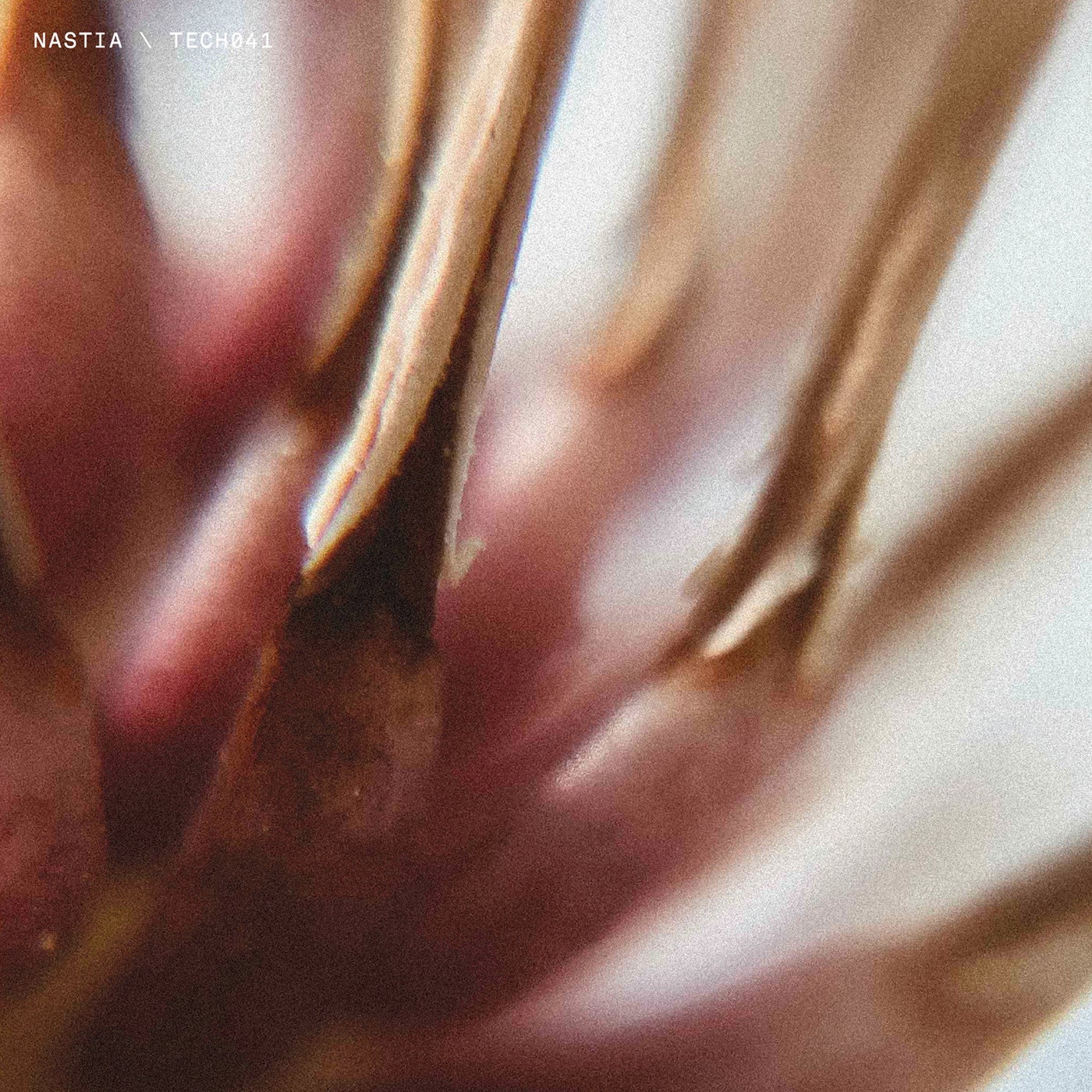 Cover - Nastia - True Majority (Original Mix) Promo tools