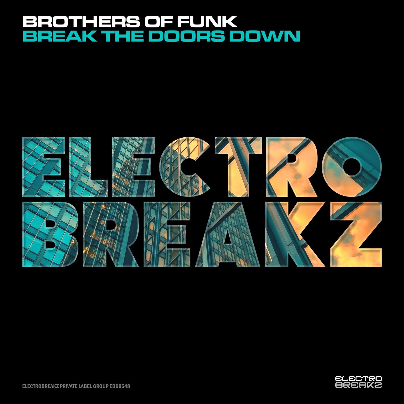 Cover - Brothers Of Funk - Break The Doors Down (Original Mix) Promo tools