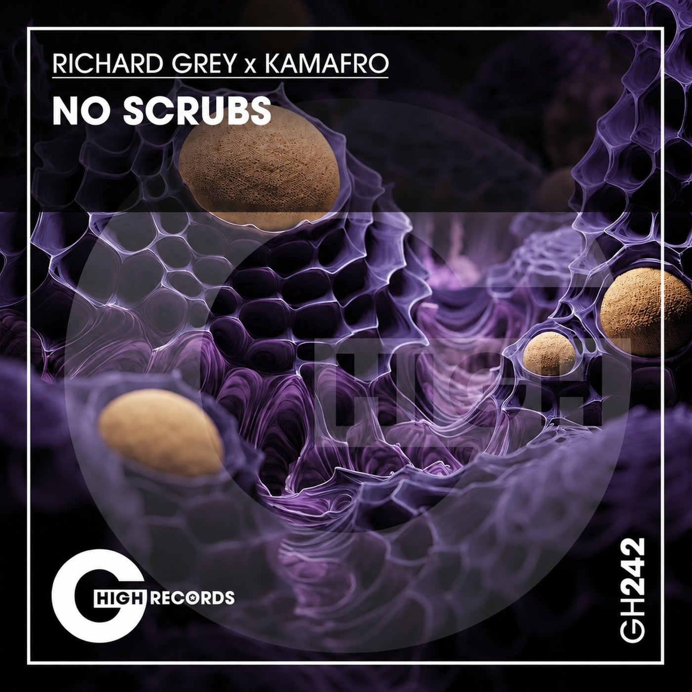 Cover - Richard Grey, Kamafro - No Scrubs (Afro Mix) Promo tools