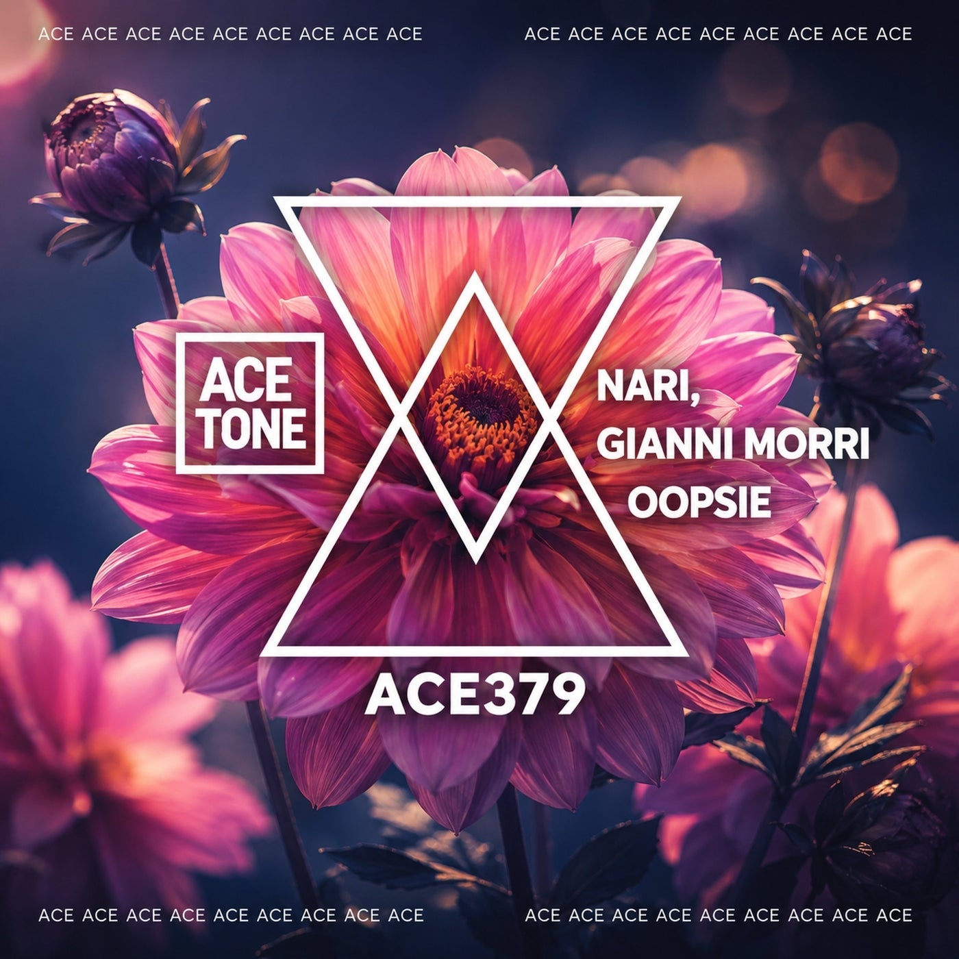 Cover - Nari, Gianni Morri - Oopsie (Original Mix) Promo tools