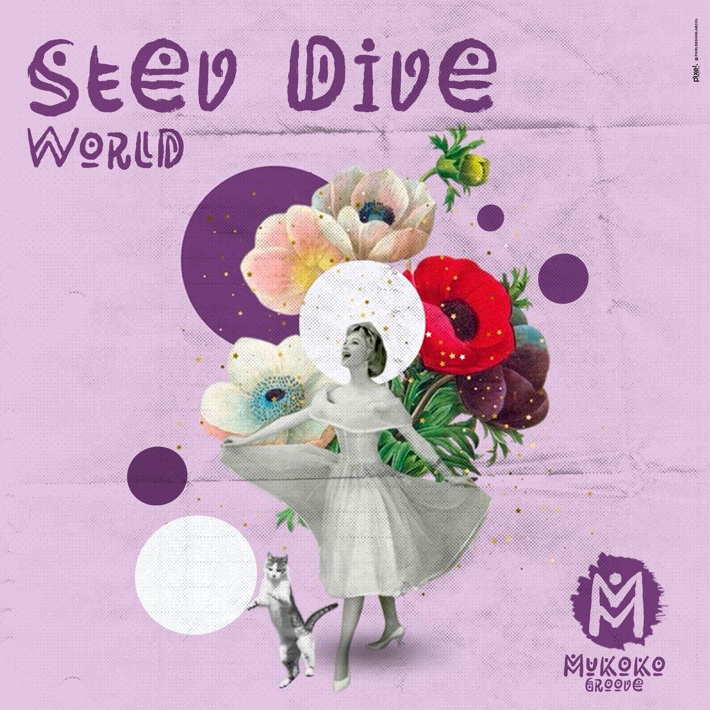 Cover - Stev Dive - World (Extended Mix) Promo tools