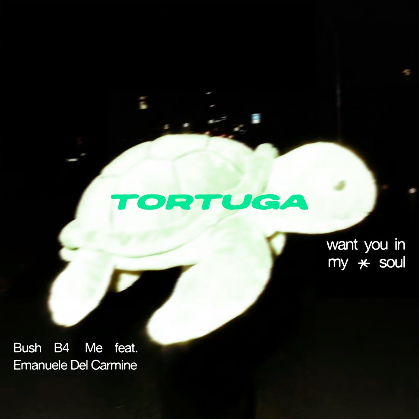 Cover - Emanuele Del Carmine, Bush B4 Me - Want You In My Soul (Original Mix) Promo tools