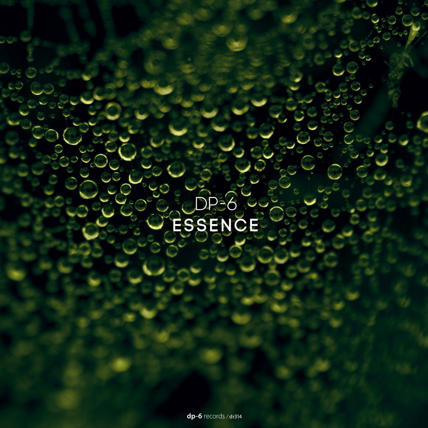 Cover - DP-6 - Essence (Original Mix) Promo tools