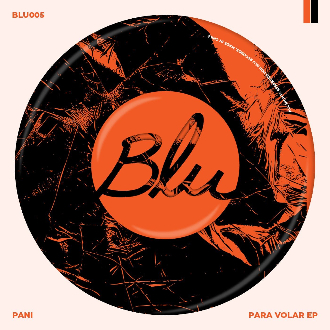Cover - Pani - Para Volar (Sebastián Castillo Remix) Promo tools