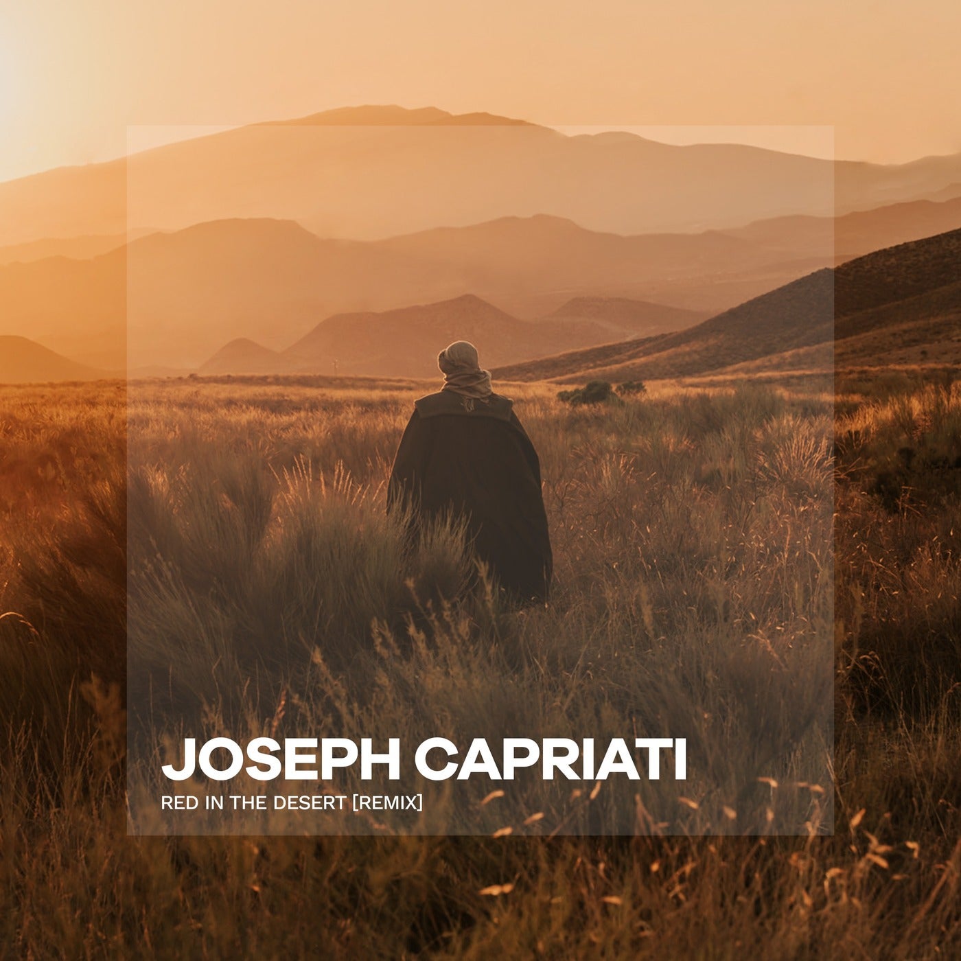 Cover - Boris Brejcha, Poppy Baskcomb - Red In The Desert (Joseph Capriati Remix) Promo tools