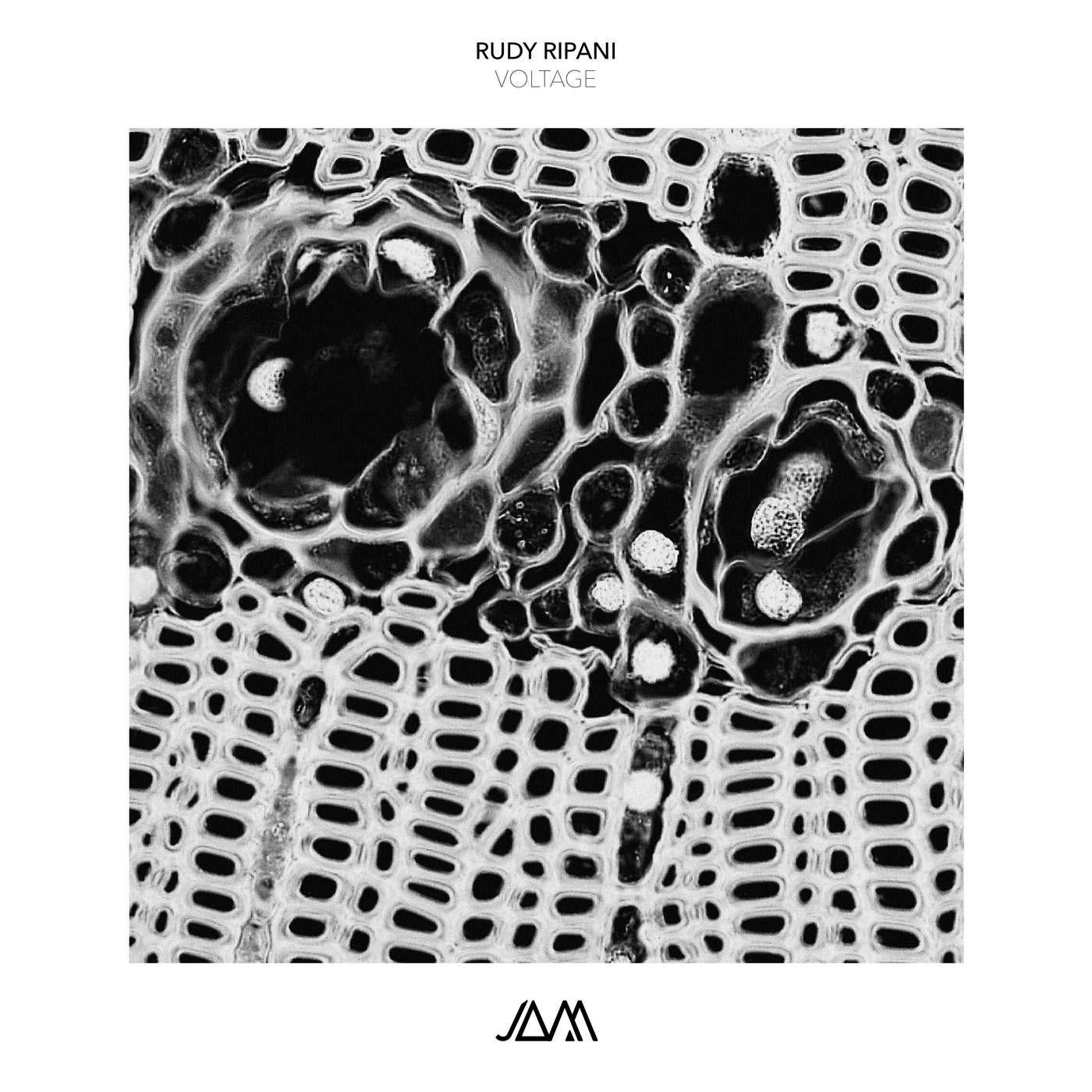 Cover - Rudy Ripani - Voltage (Original Mix) Promo tools