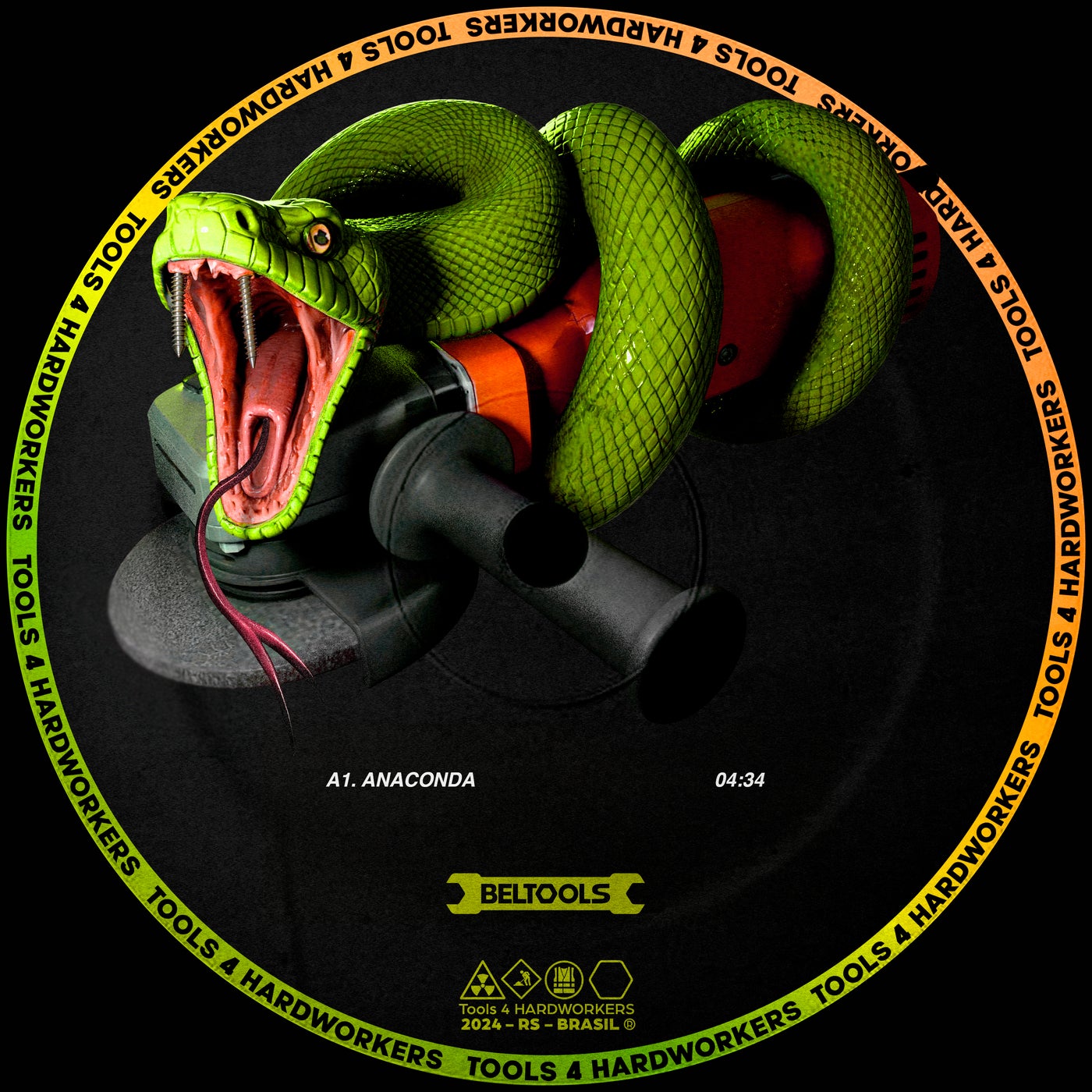 Cover - Beltran (BR) - Anaconda (Original Mix) Promo tools