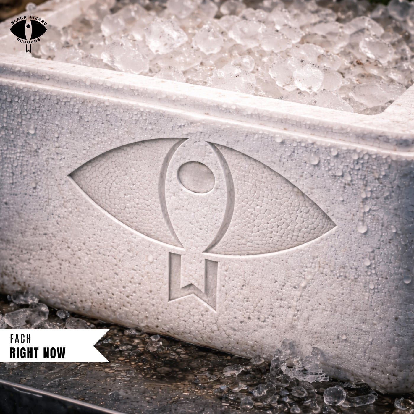Cover - Fach - Right Now (Original Mix) Promo tools