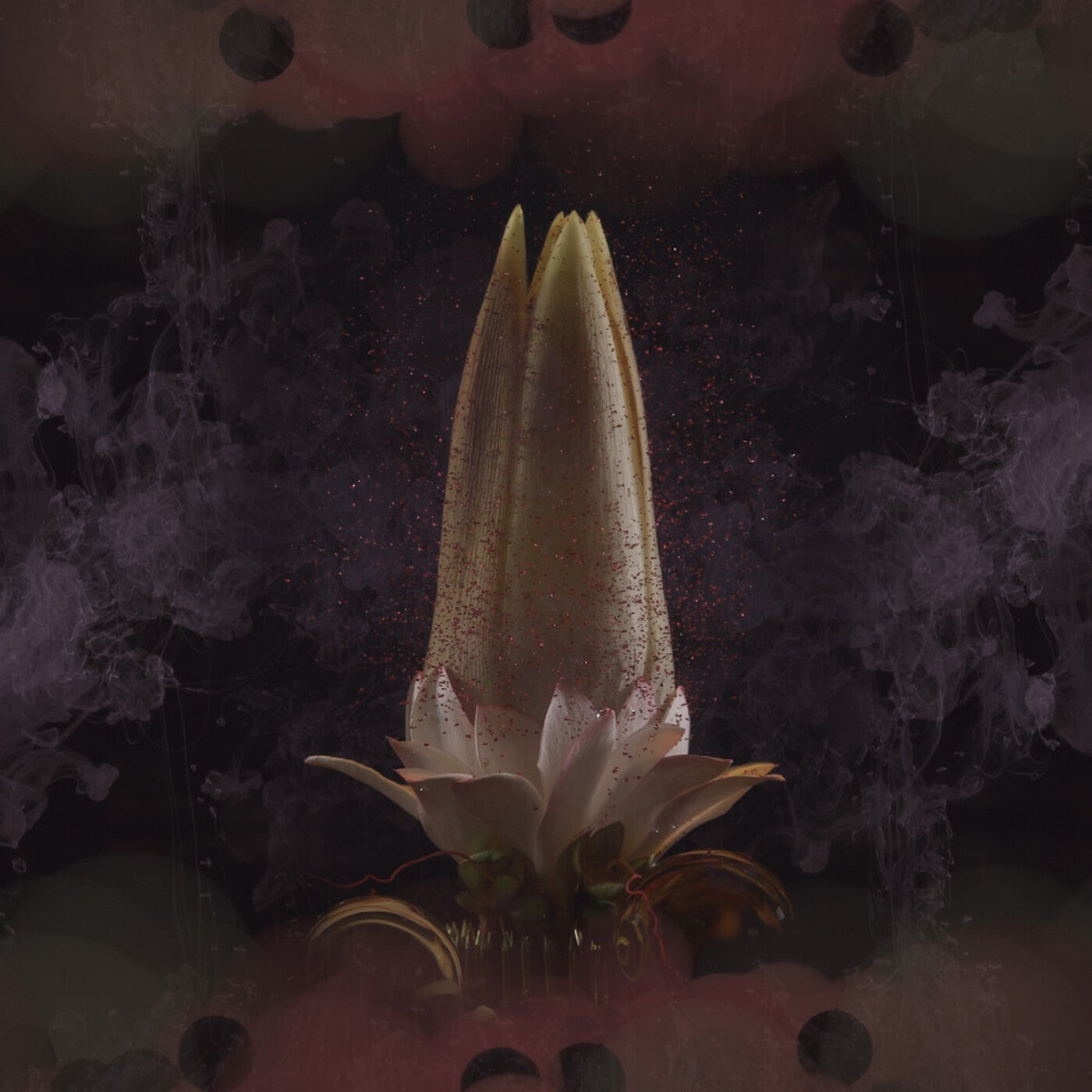 Cover - Panama, Amtrac - Hummingbird (Original Mix) Promo tools