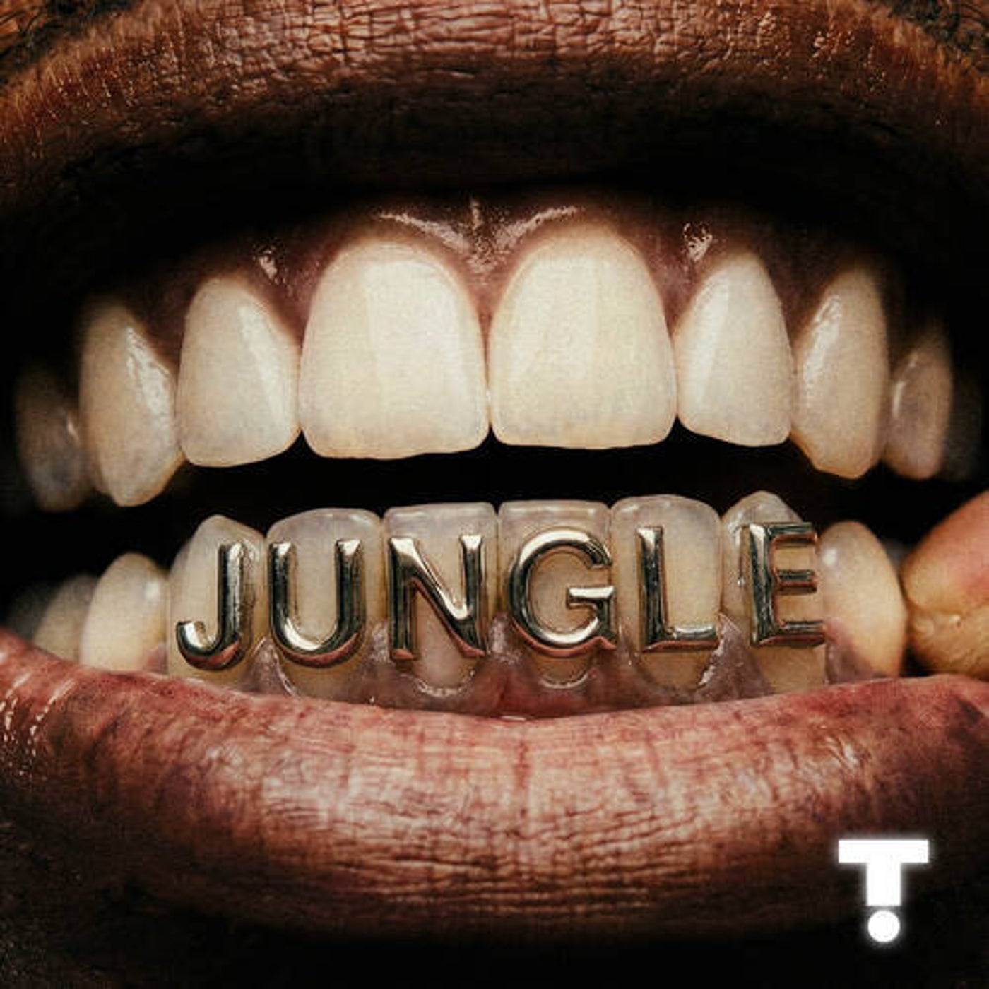 Cover - TroyBoi, Shiwa - Jungle (Extended Intro) Promo tools