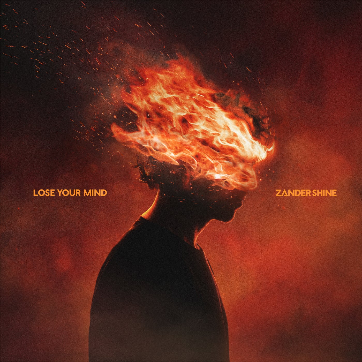 Cover - Zander Shine - lose your mind (Original Mix) Promo tools
