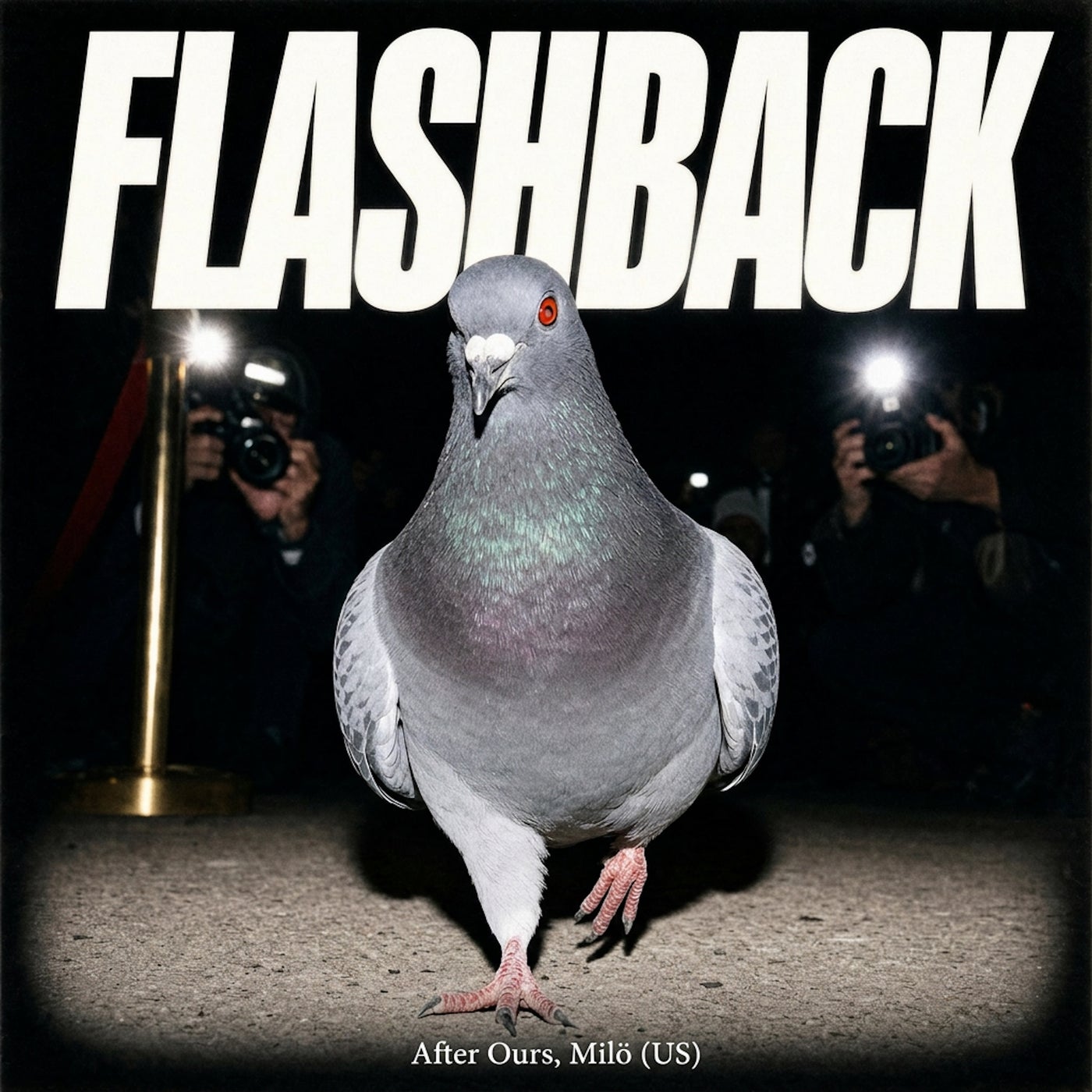 Cover - Milö (US), After Ours - Flashback (Extended Mix) Promo tools