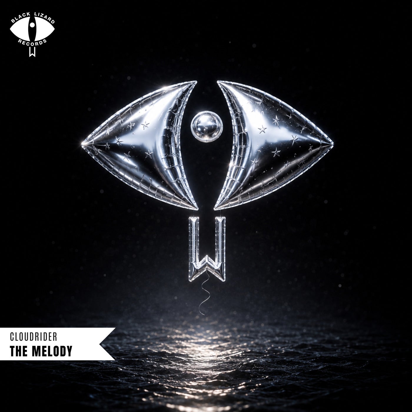Cover - Cloudrider - The Melody (Original Mix) Promo tools