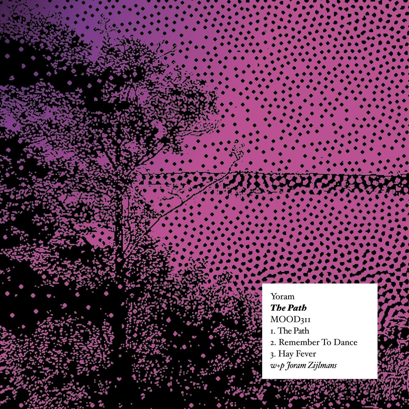 Cover - Yoram - Remember To Dance (Original Mix) Promo tools