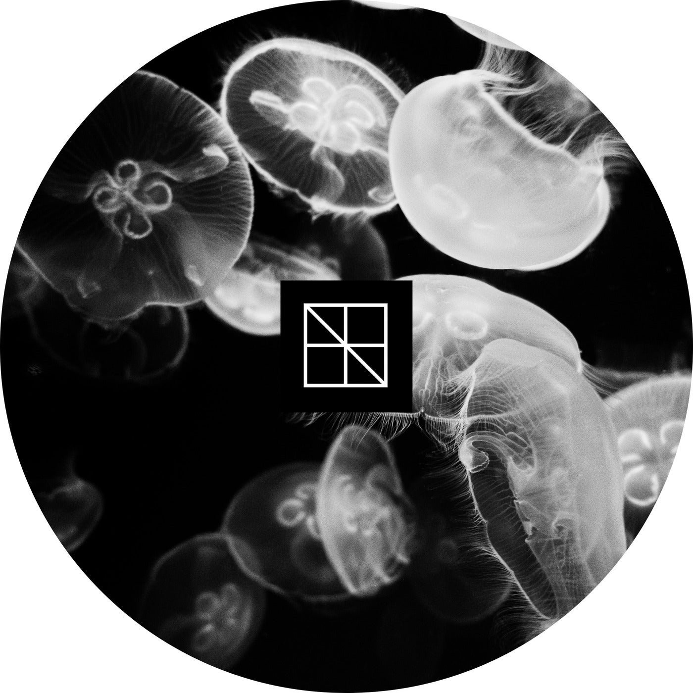 Cover - Stijn Vanmarsenille - Underneath The Sea Lies An Ocean (Original Mix) 