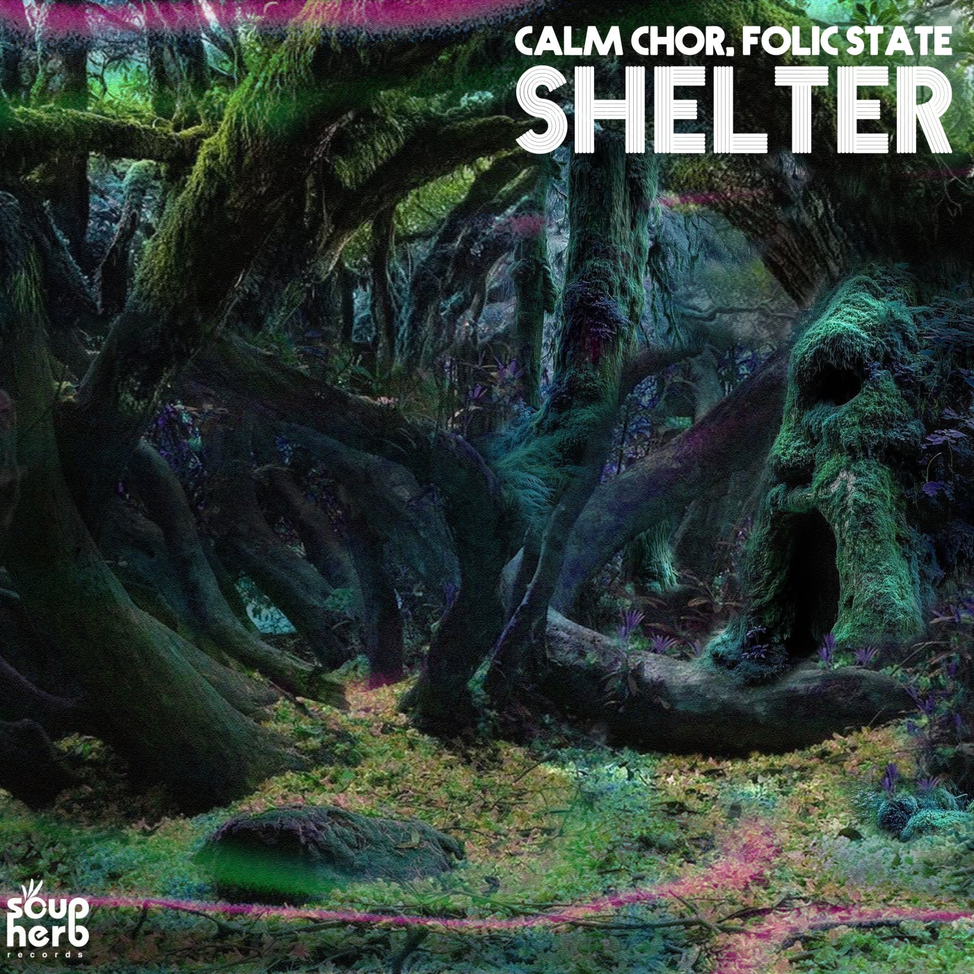 Cover - Calm Chor, Folic State - Wolf's Den (Original Mix) Promo tools