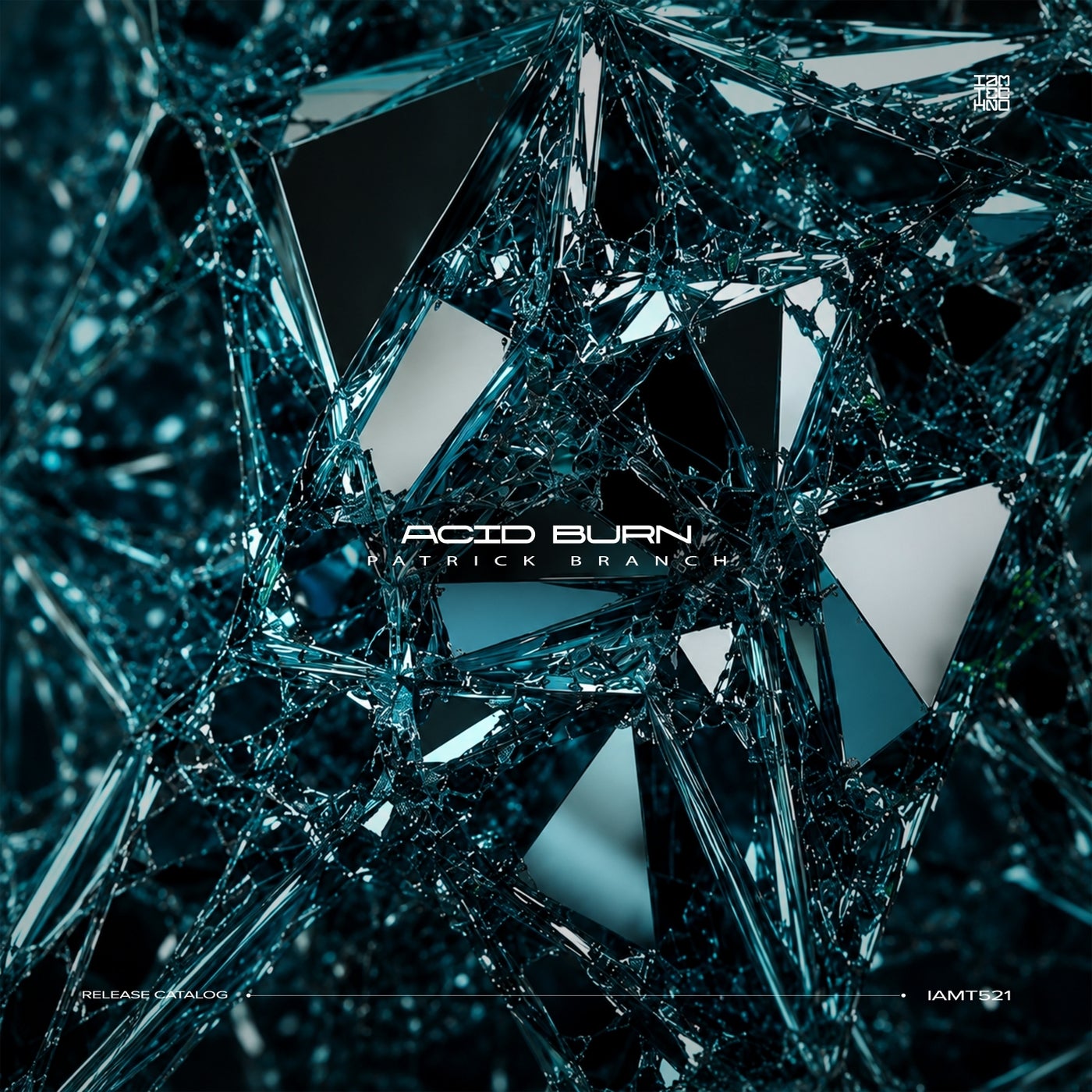 Cover - Patrick Branch - Acid Burn (Original Mix) Promo tools
