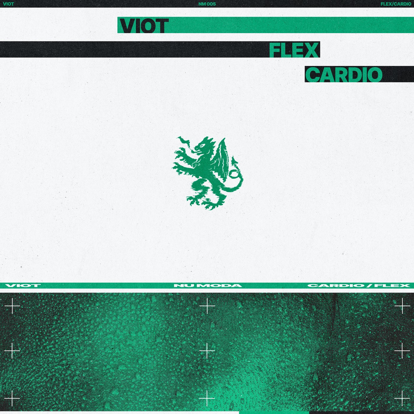 Cover - Viot - Flex (Extended Mix) Promo tools