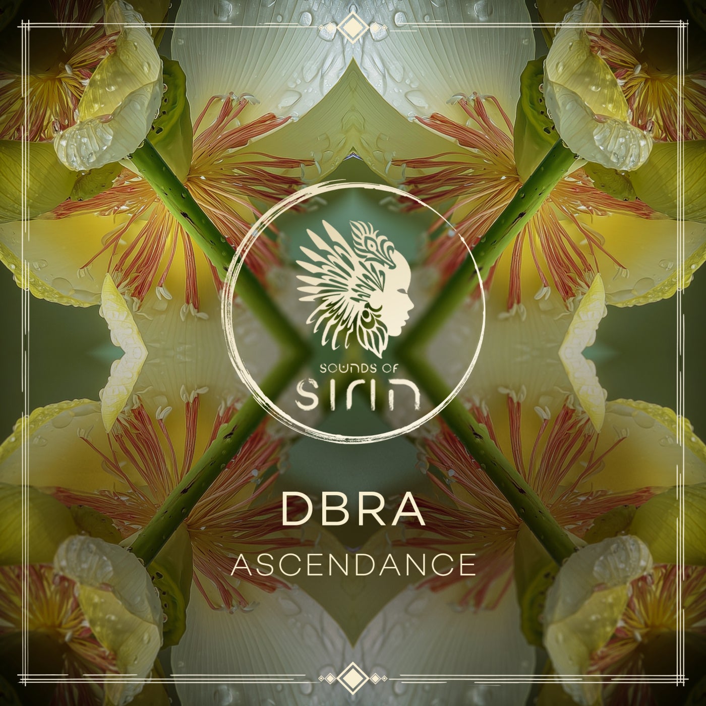 Cover - DBRA - Til Valhalla (Extended Mix) Promo tools