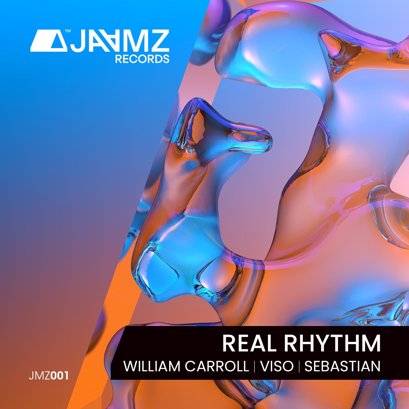 Cover - William Carroll, Viso, S E B A S T I A N - Real Rhythm (Extended Mix) Promo tools